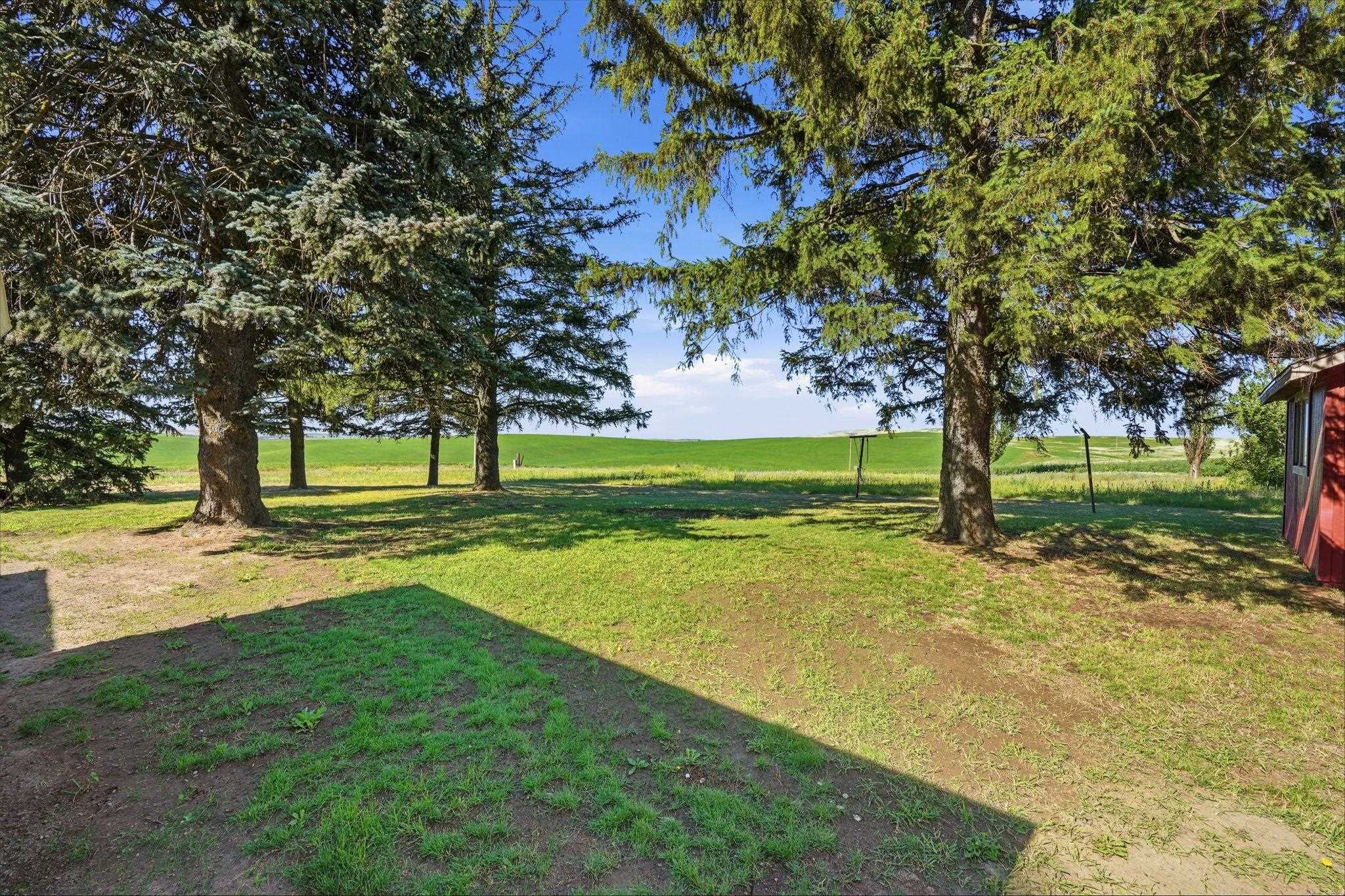 11213 E CAMERON Rd - Photo 38
