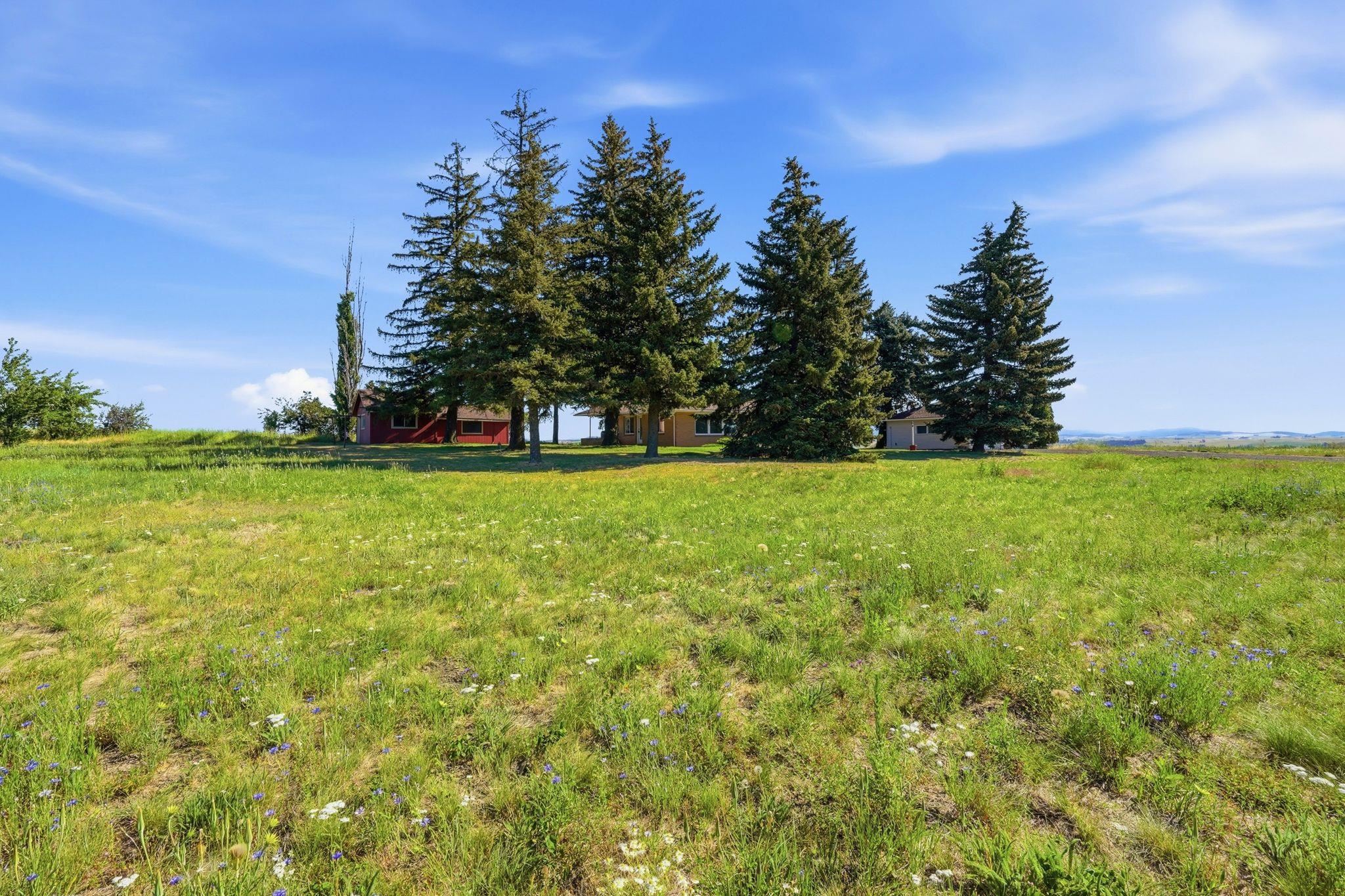 11213 E CAMERON Rd - Photo 45