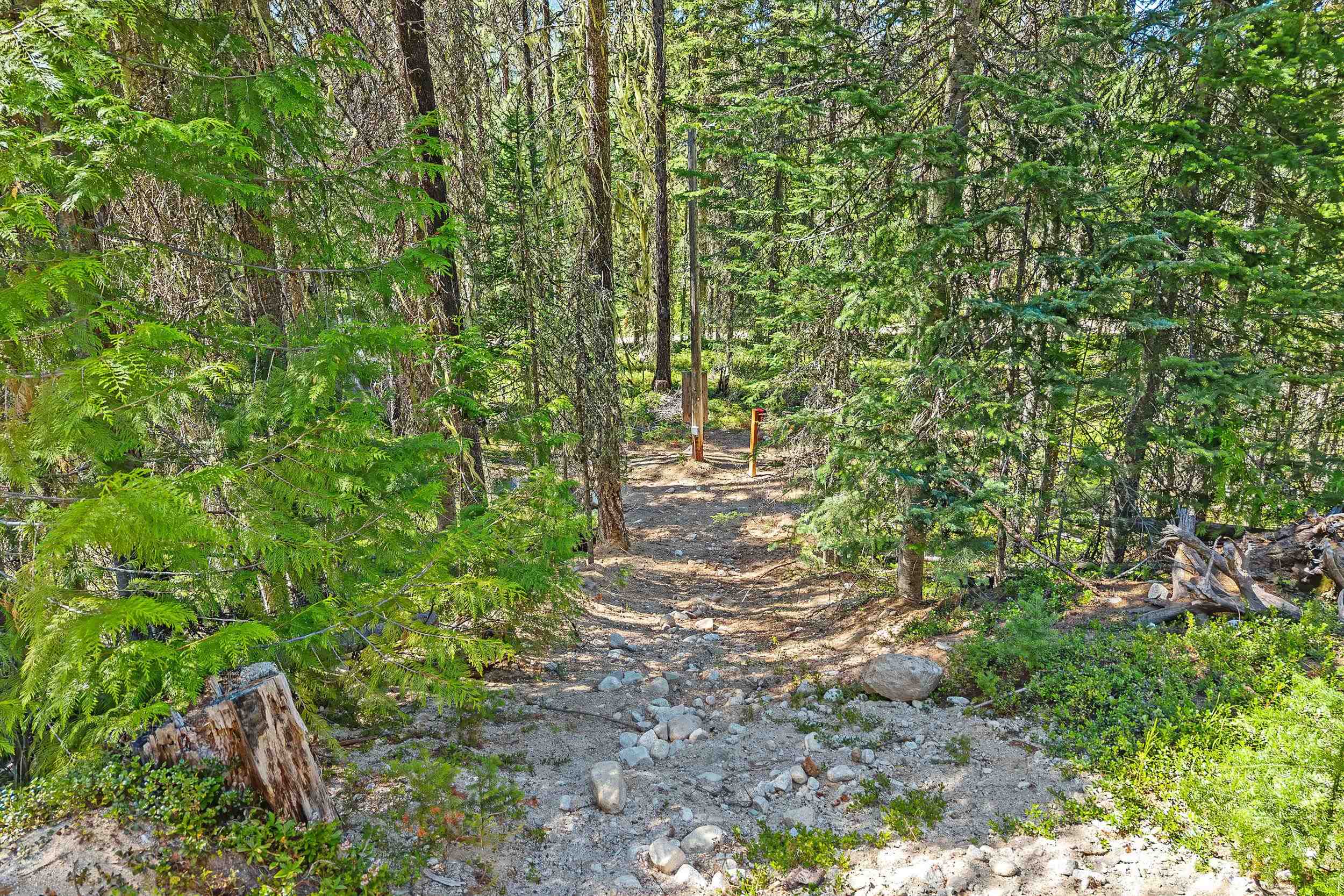 2911 Heritage Lake Way - Photo 35