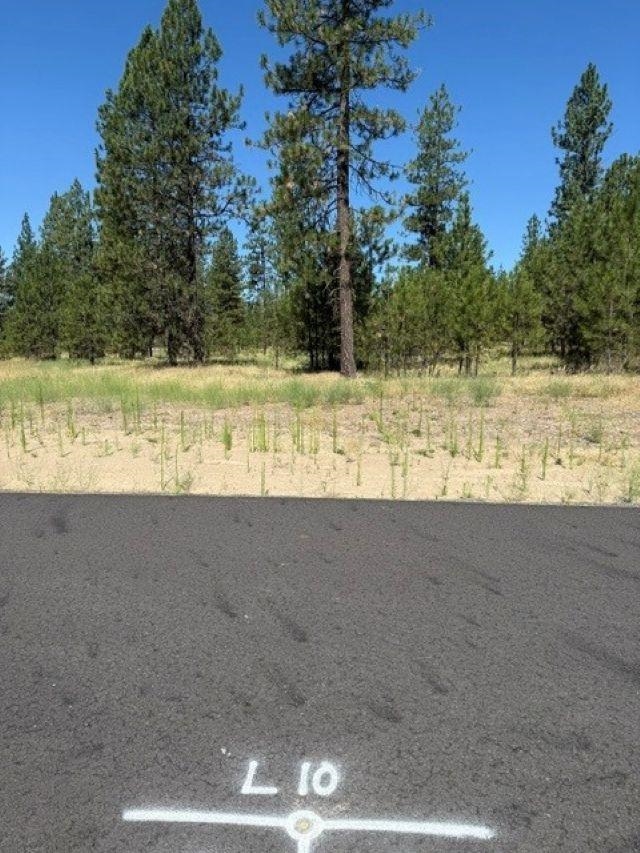 Lot 10 Long Lake Estates Way - Photo 3