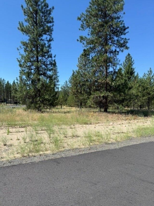 Lot 12 Long Lake Estates Est - Photo 1