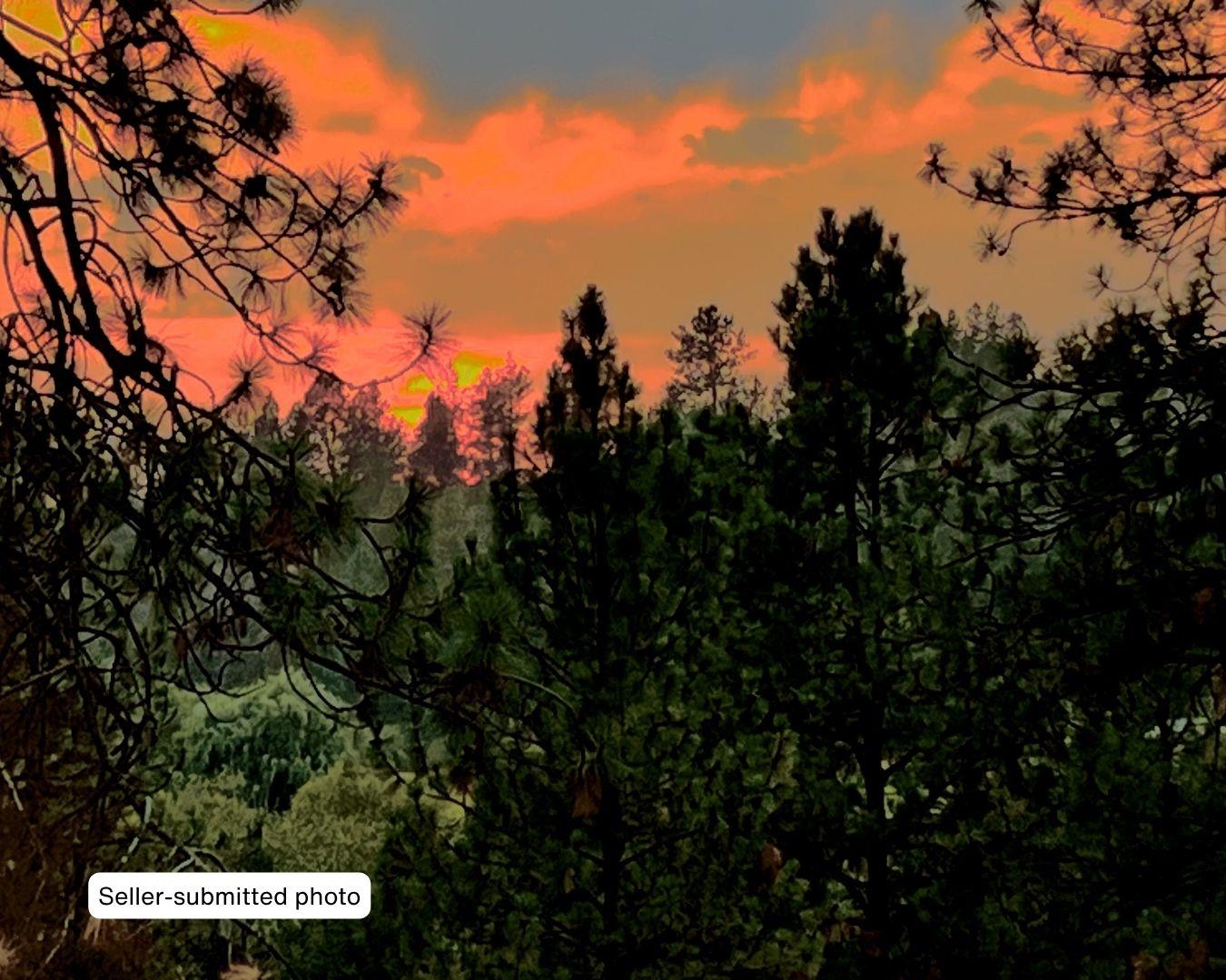 36019 N Milan-Elk Rd - Photo 46