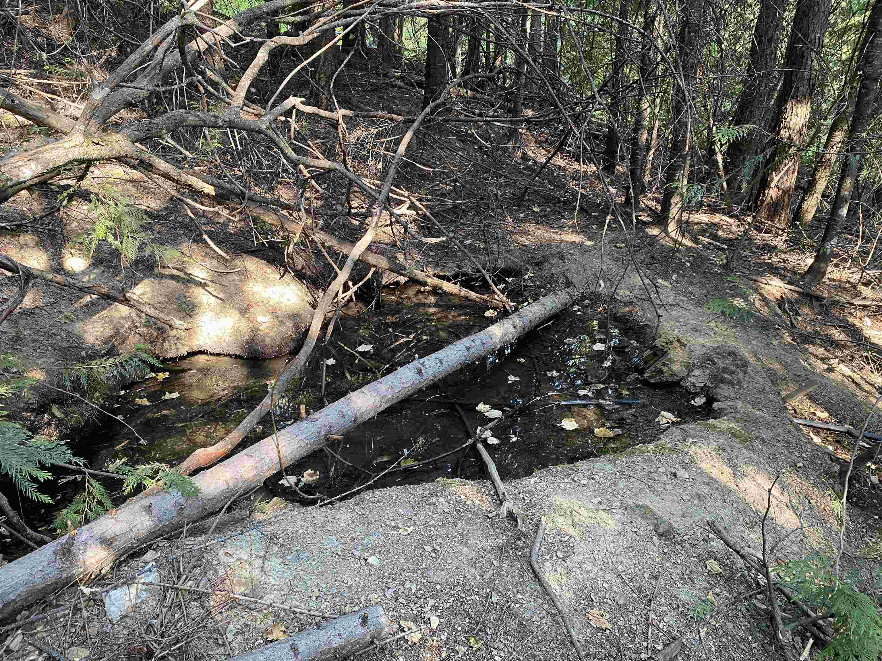 NNA E Deer Lake Rd - Photo 11
