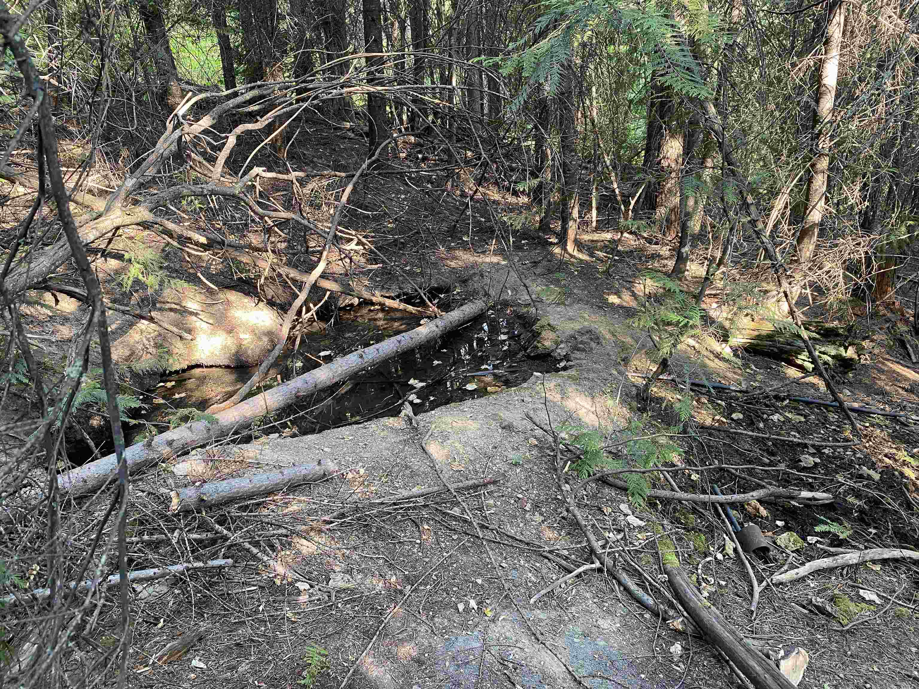 NNA E Deer Lake Rd - Photo 12