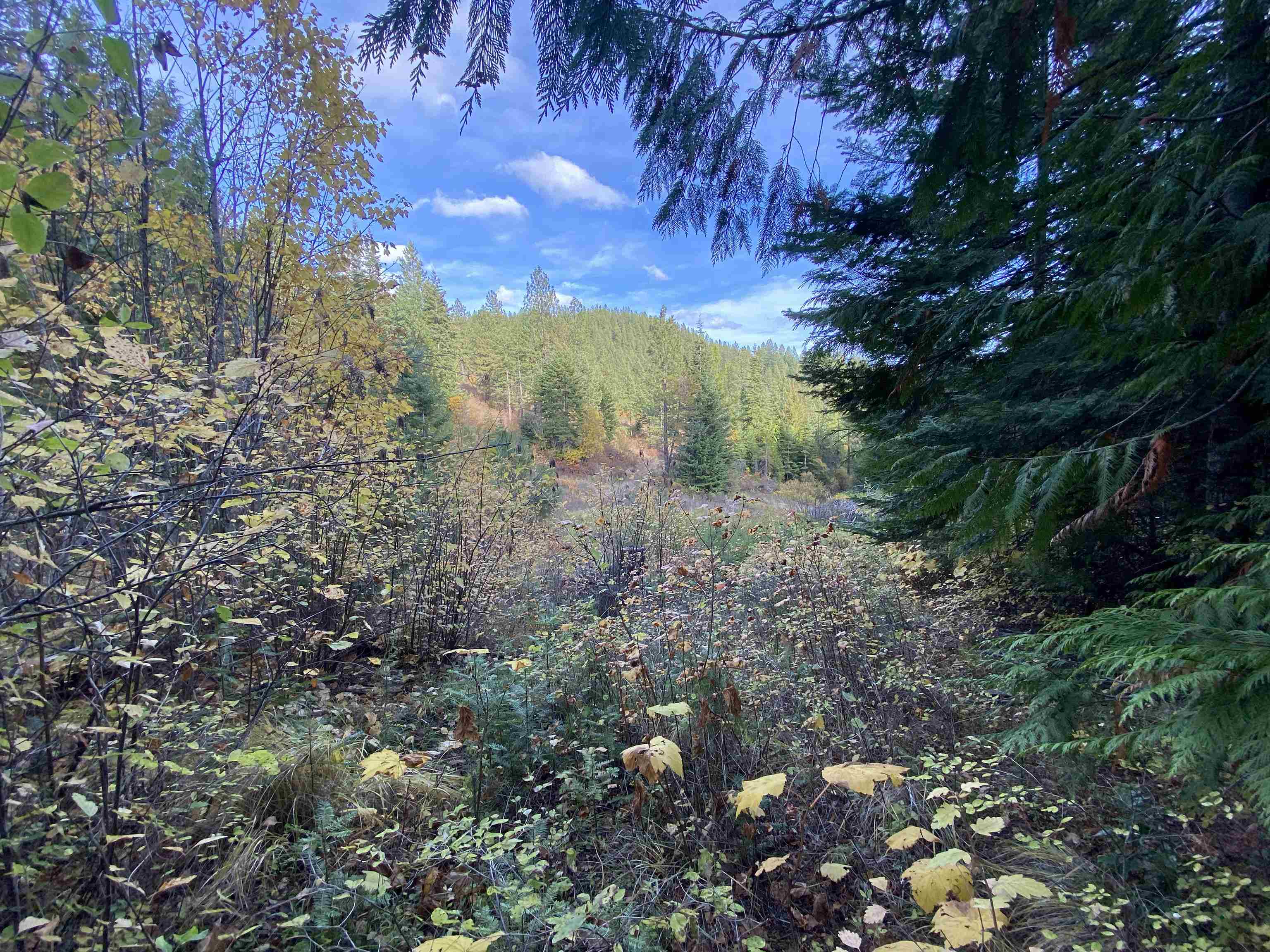 NNA E Deer Lake Rd - Photo 10