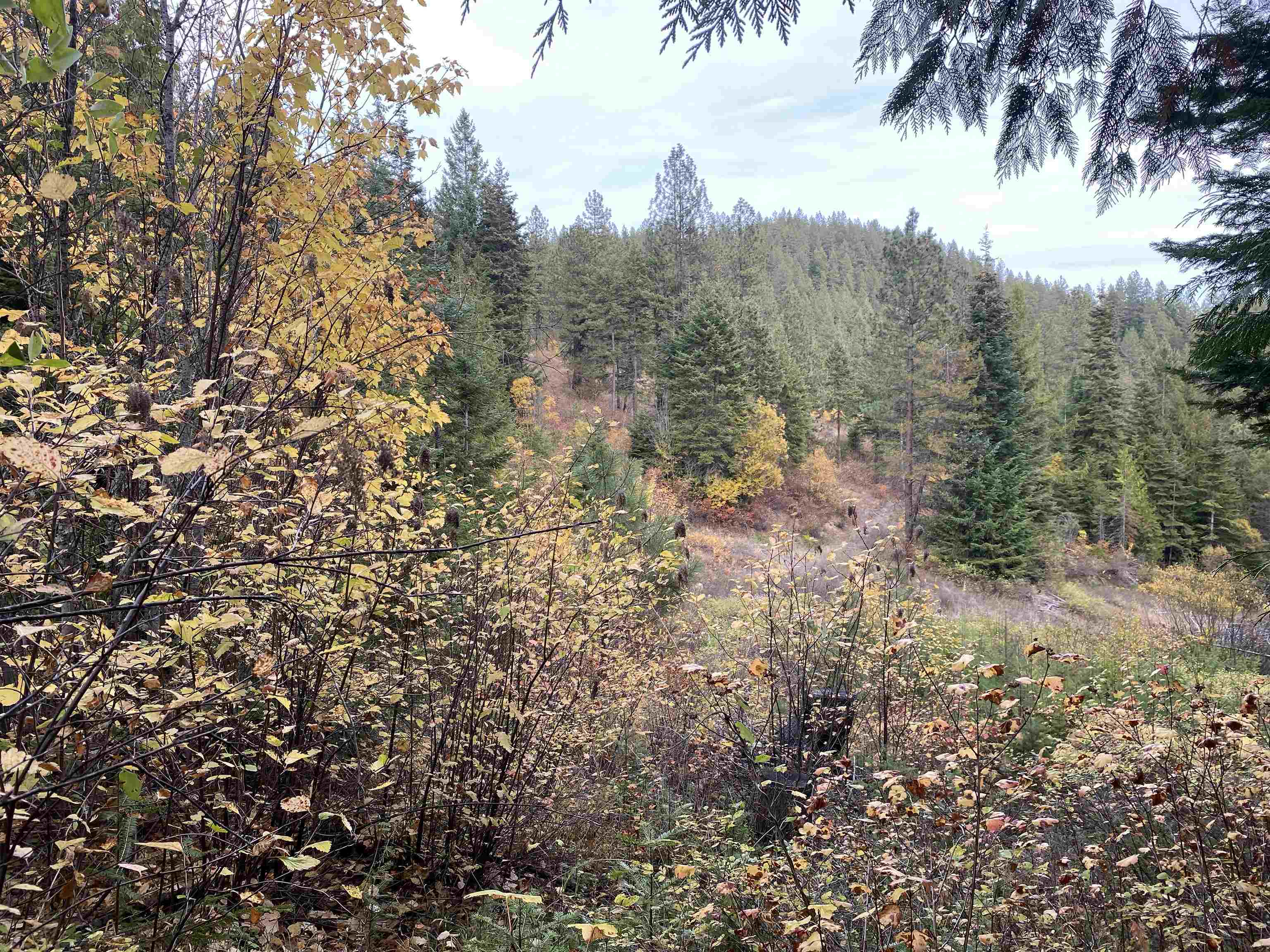 NNA E Deer Lake Rd - Photo 8