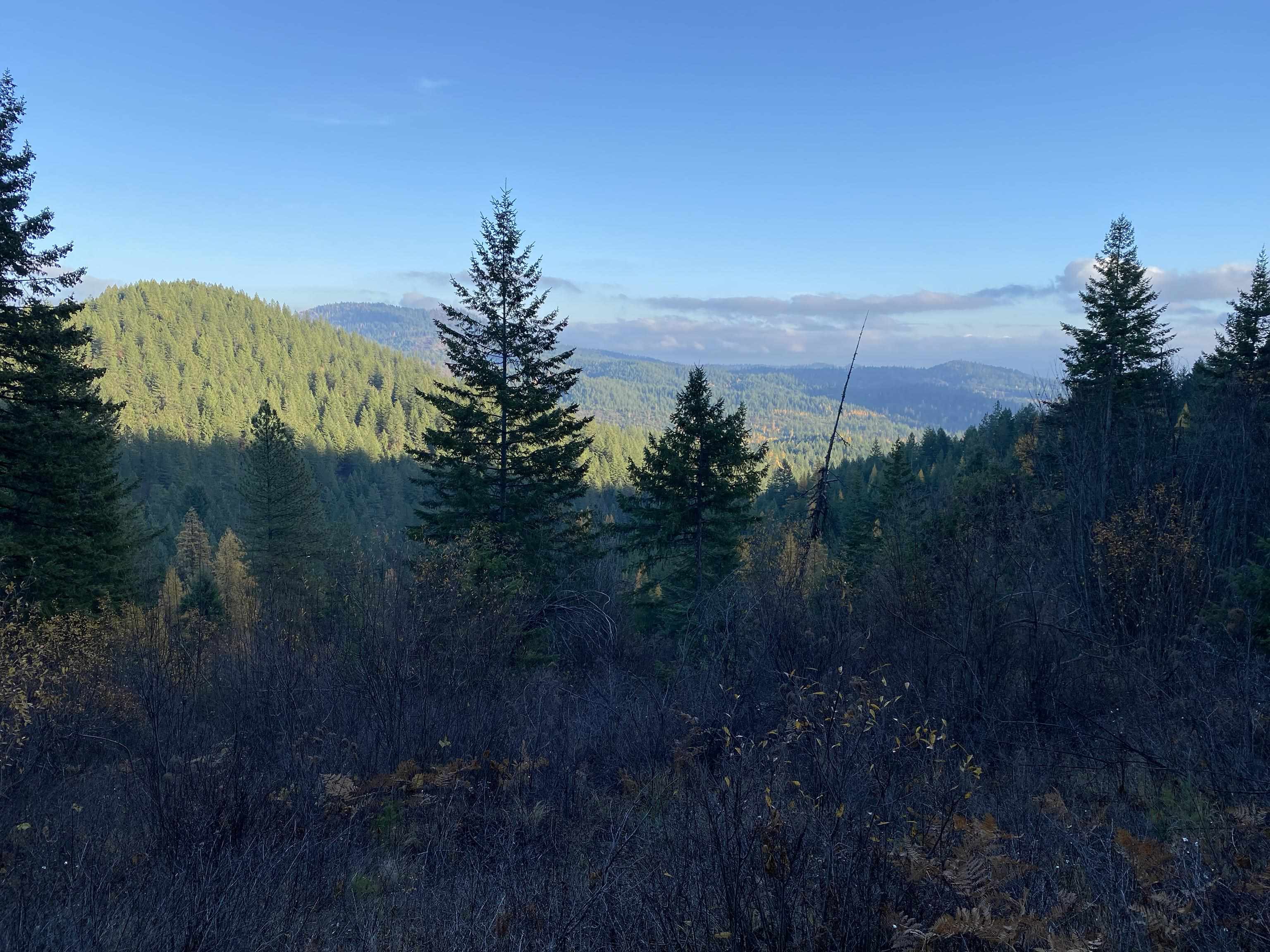 NNA E Deer Lake Rd - Photo 4