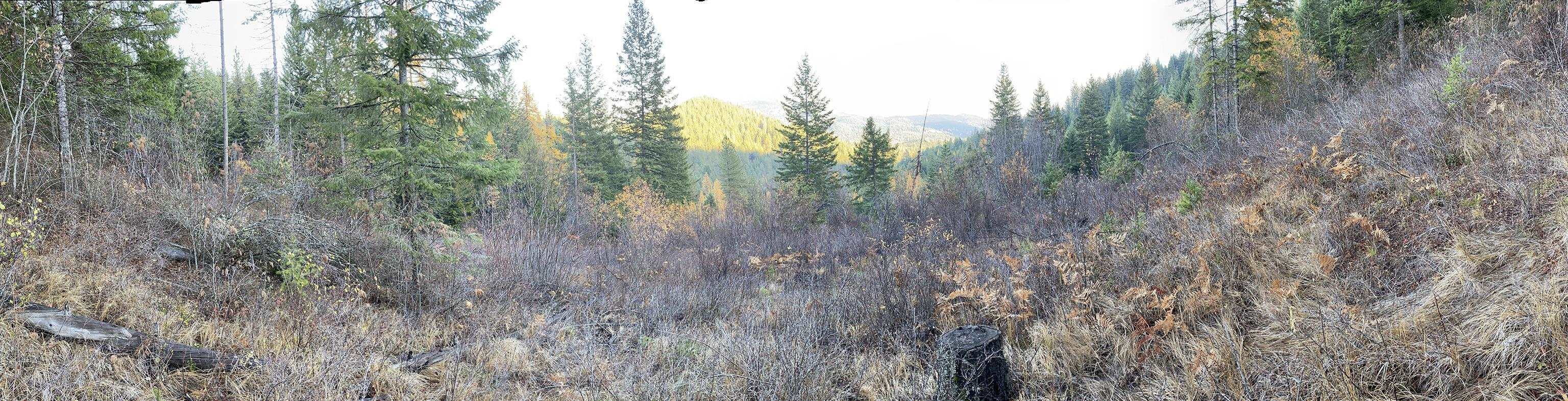 NNA E Deer Lake Rd - Photo 3