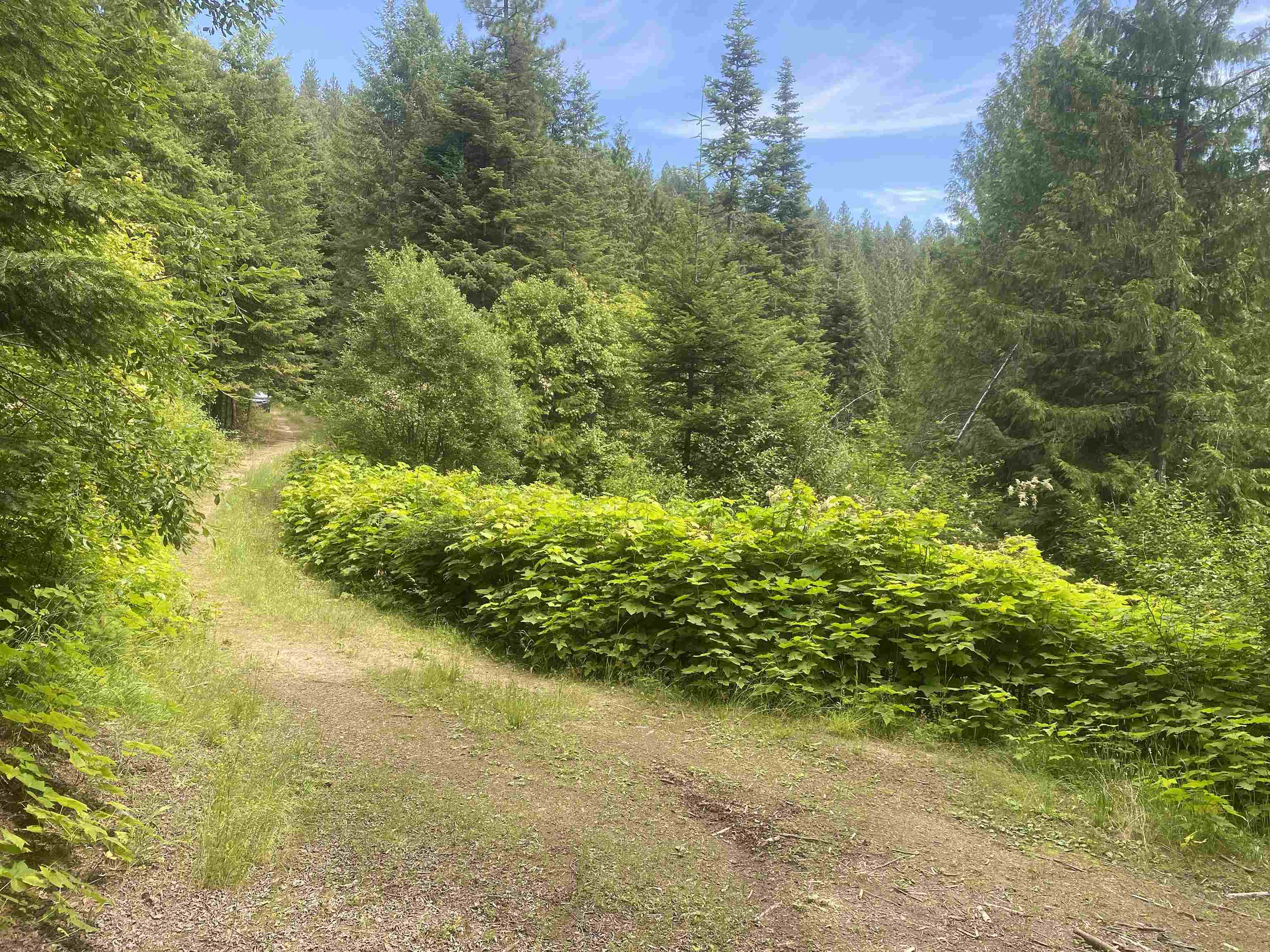 NNA E Deer Lake Rd - Photo 6