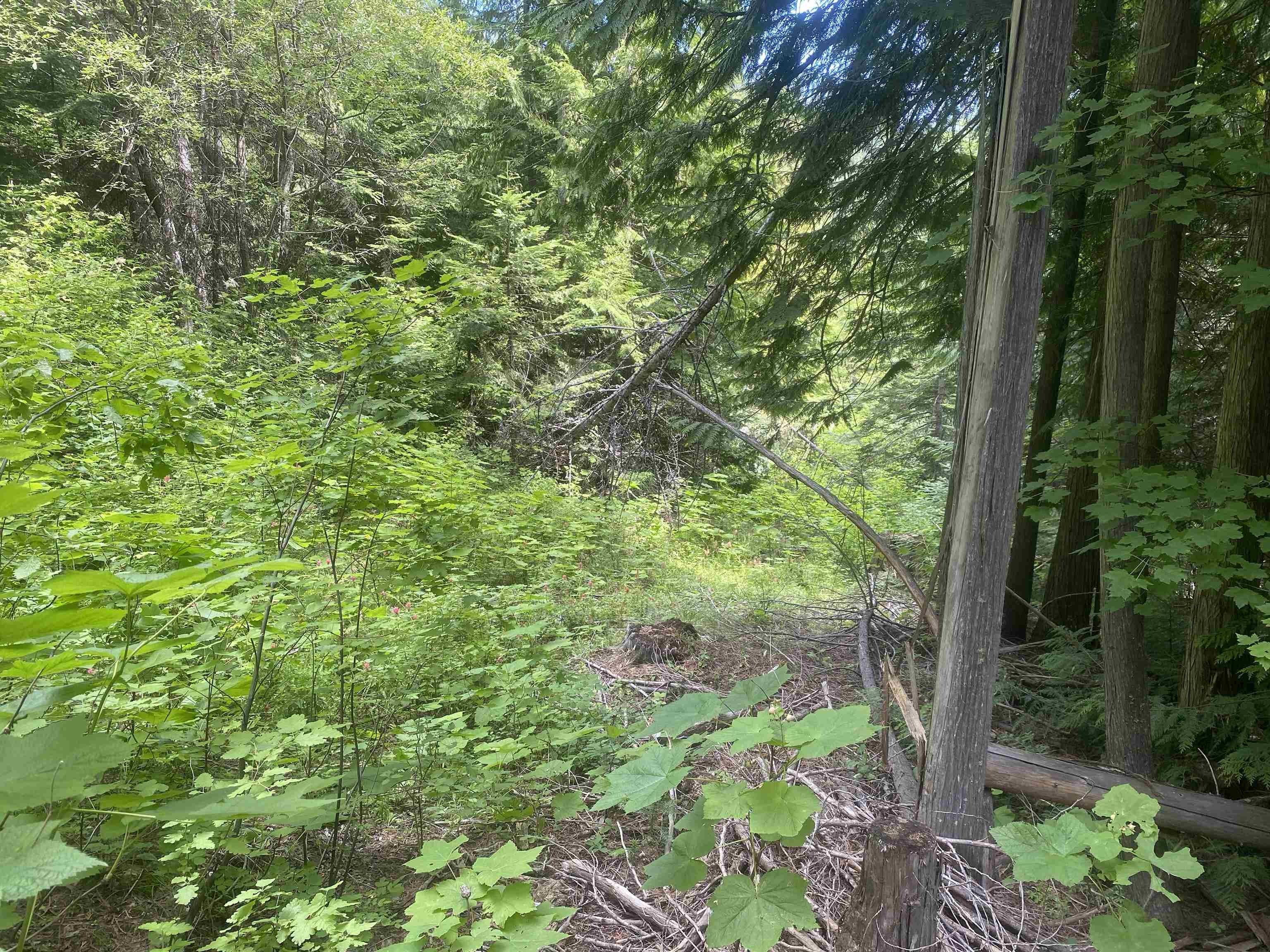 NNA E Deer Lake Rd - Photo 9