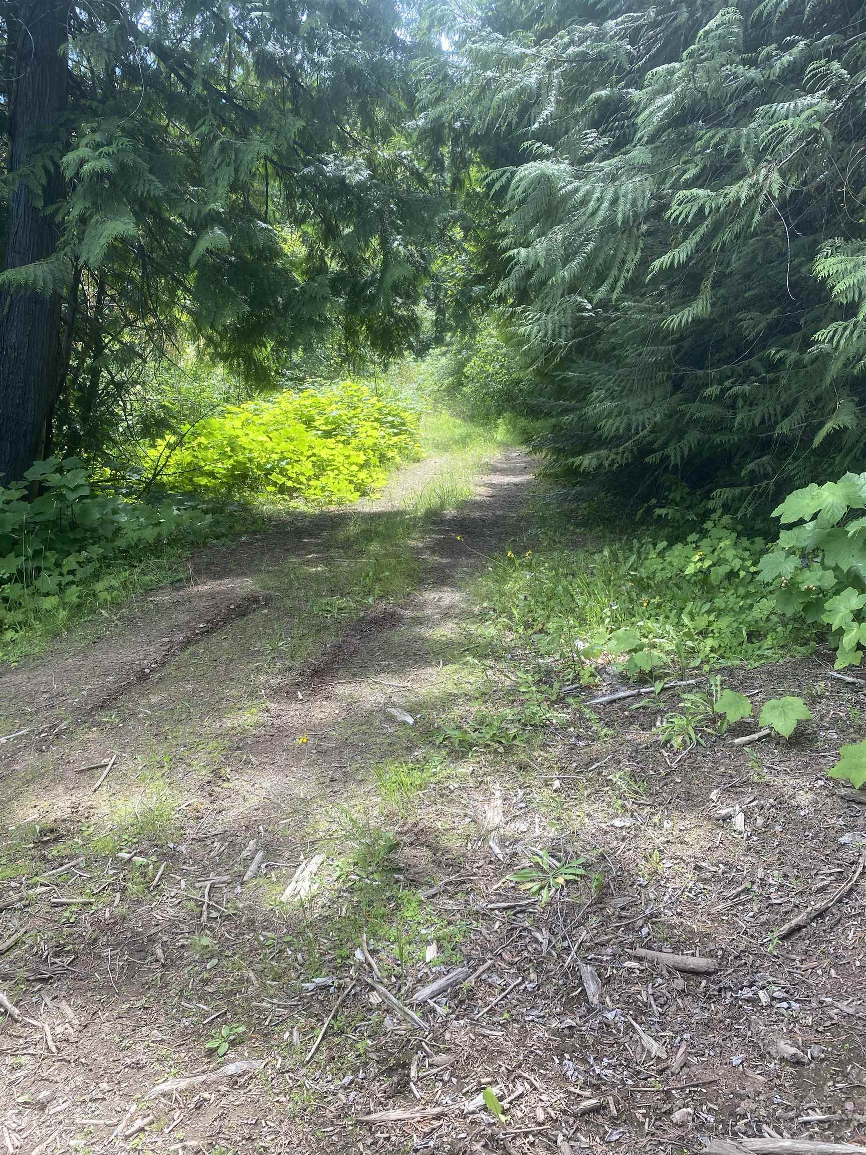 NNA E Deer Lake Rd - Photo 7