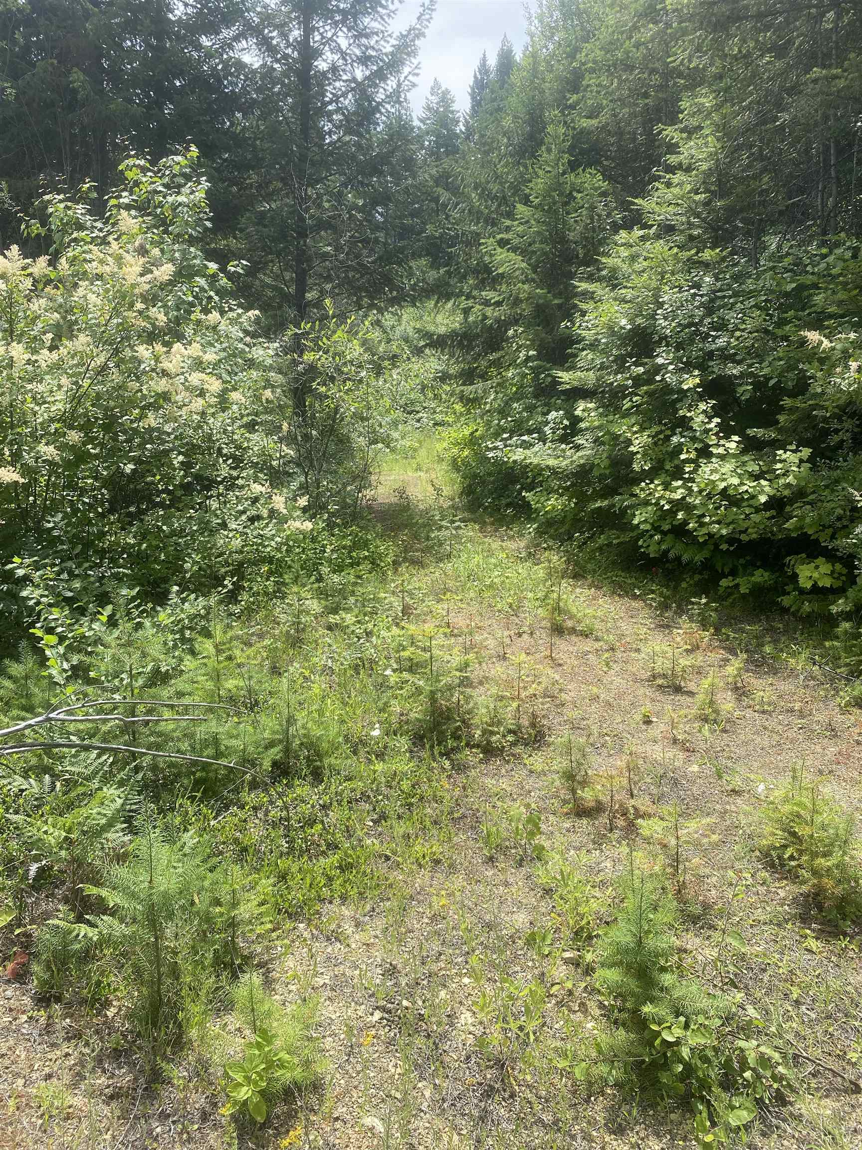 NNA E Deer Lake Rd - Photo 13