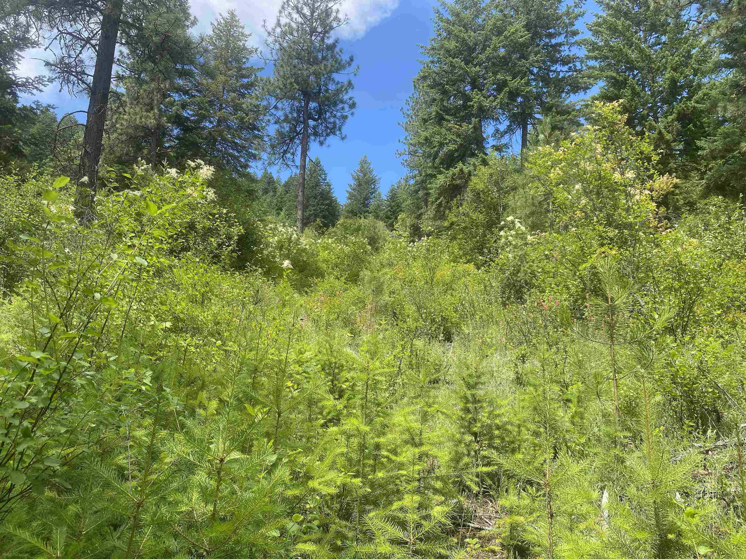 NNA E Deer Lake Rd - Photo 14