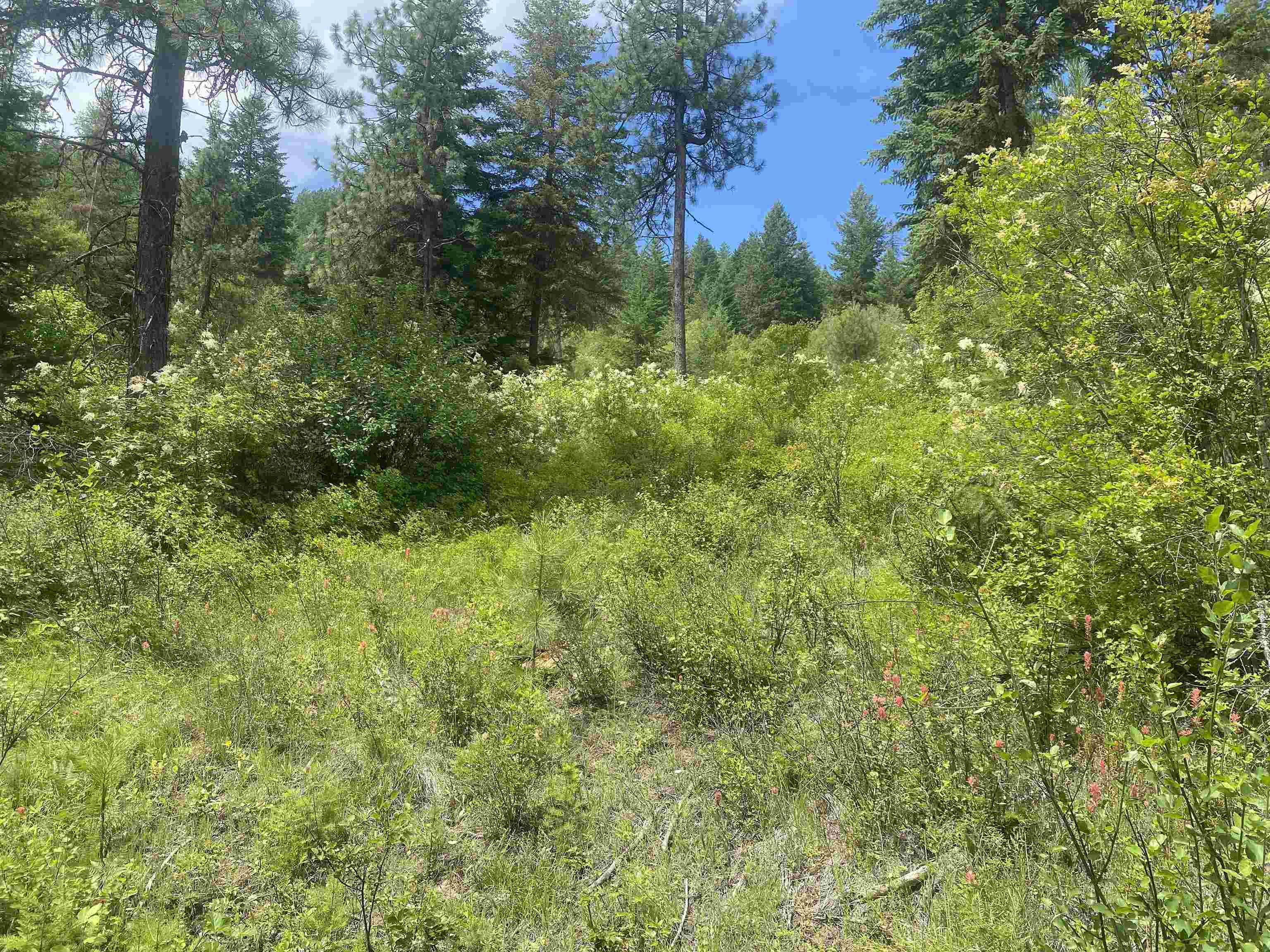 NNA E Deer Lake Rd - Photo 15