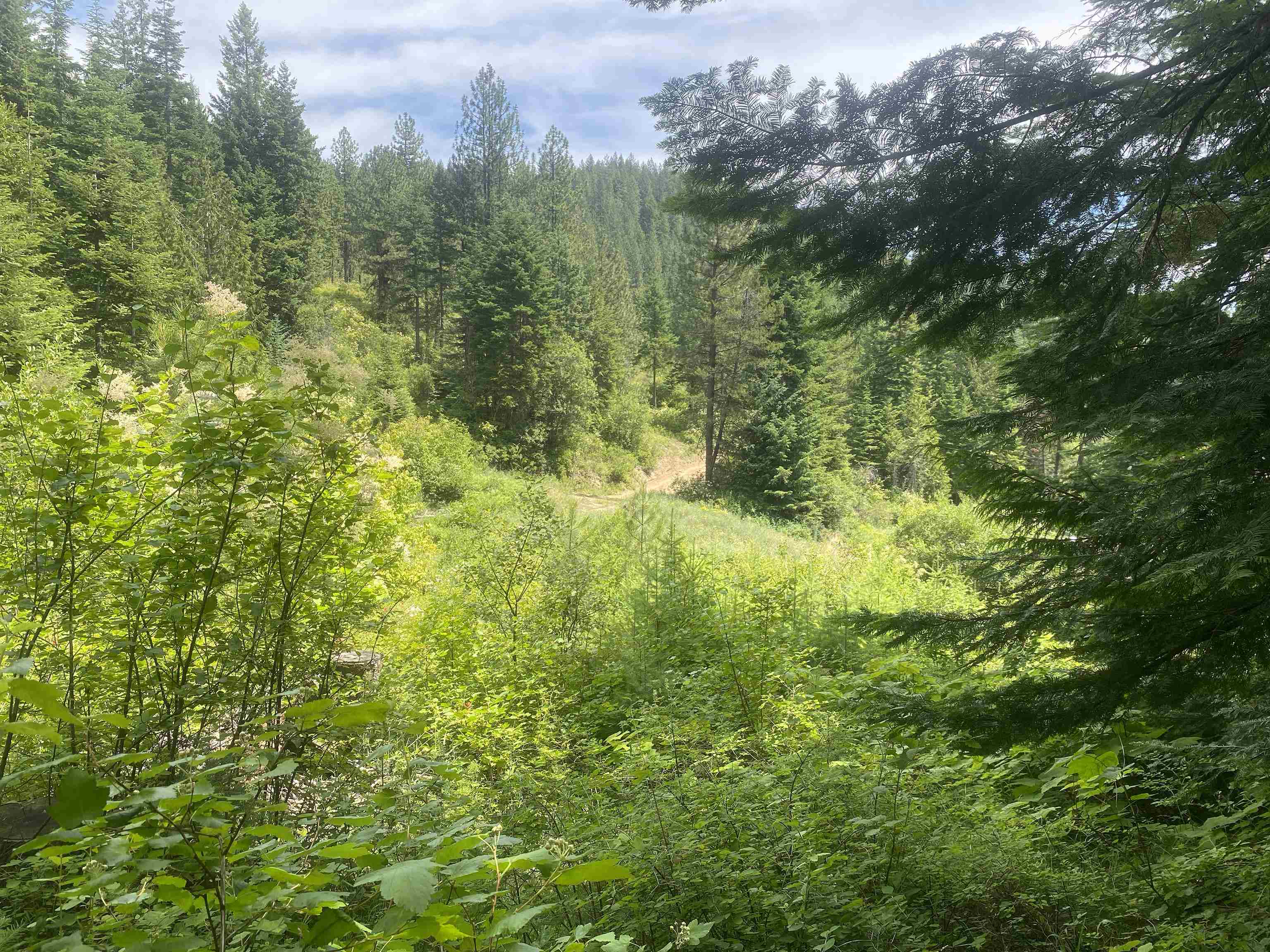 NNA E Deer Lake Rd - Photo 16