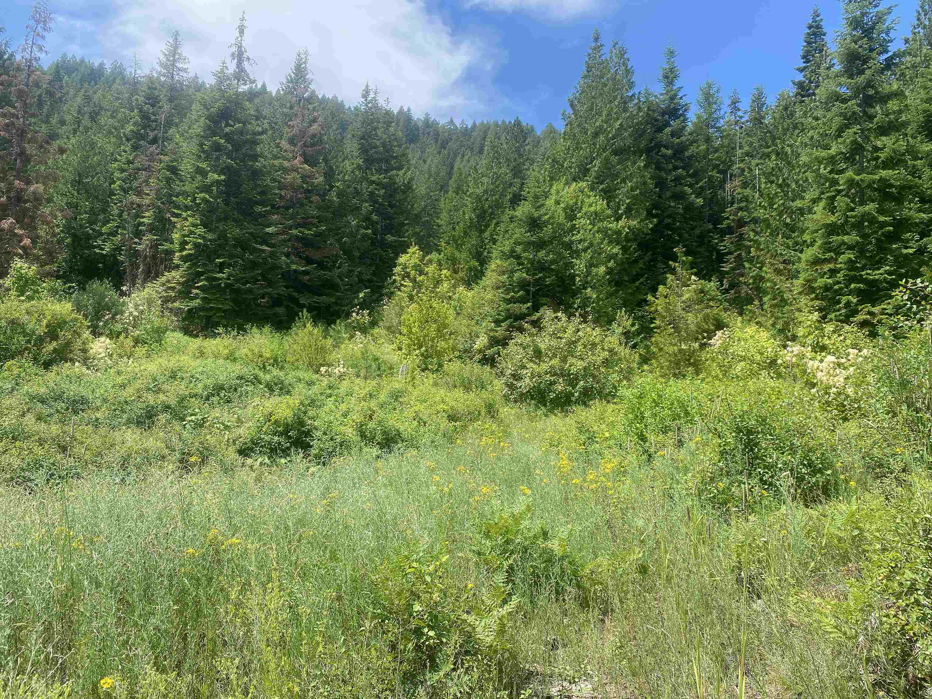 NNA E Deer Lake Rd - Photo 17