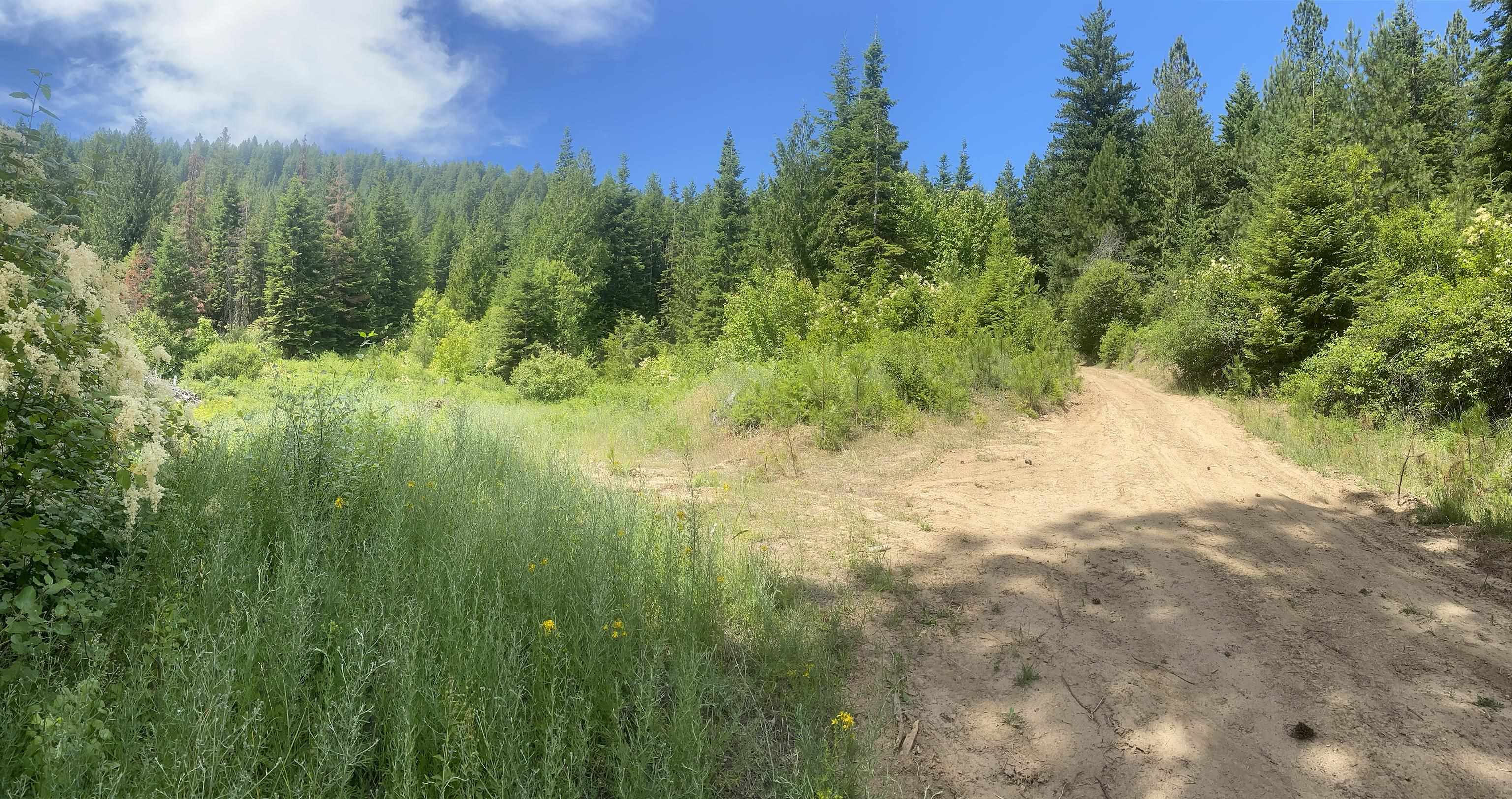 NNA E Deer Lake Rd - Photo 5