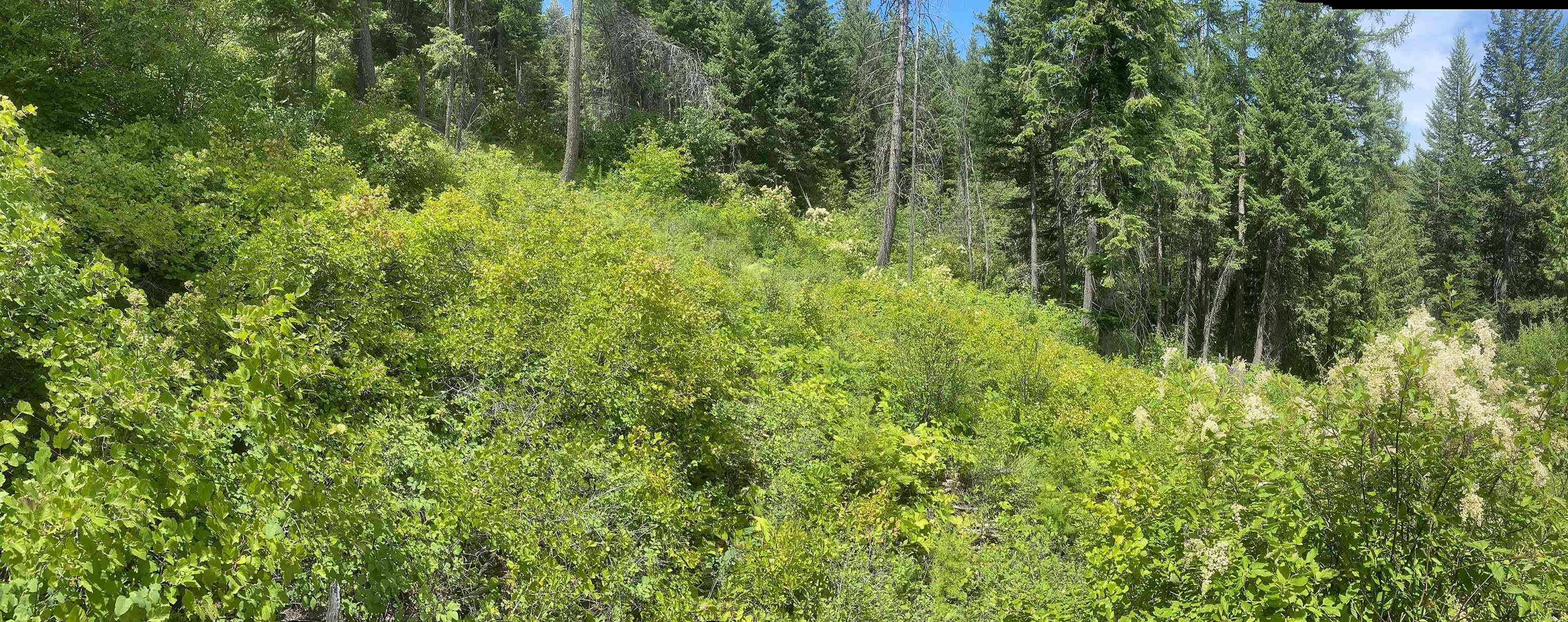 NNA E Deer Lake Rd - Photo 18
