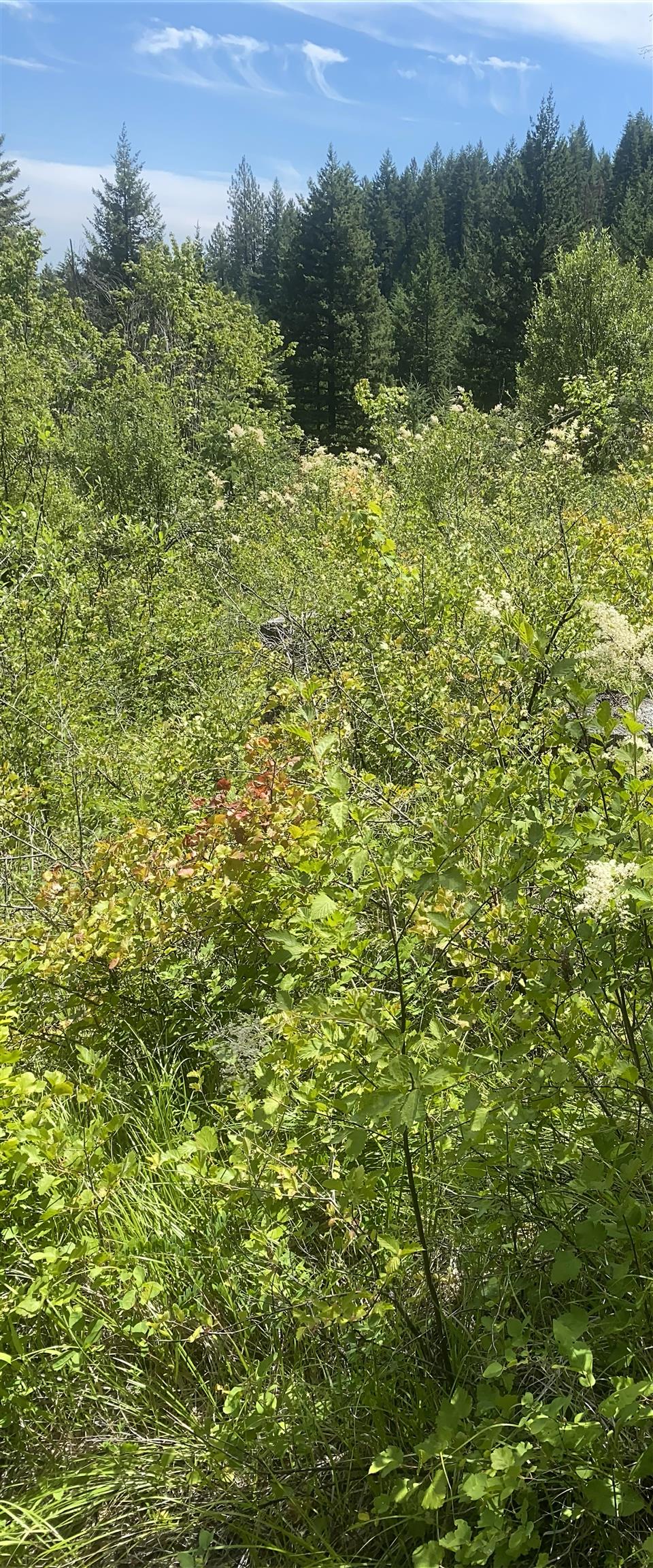 NNA E Deer Lake Rd - Photo 19