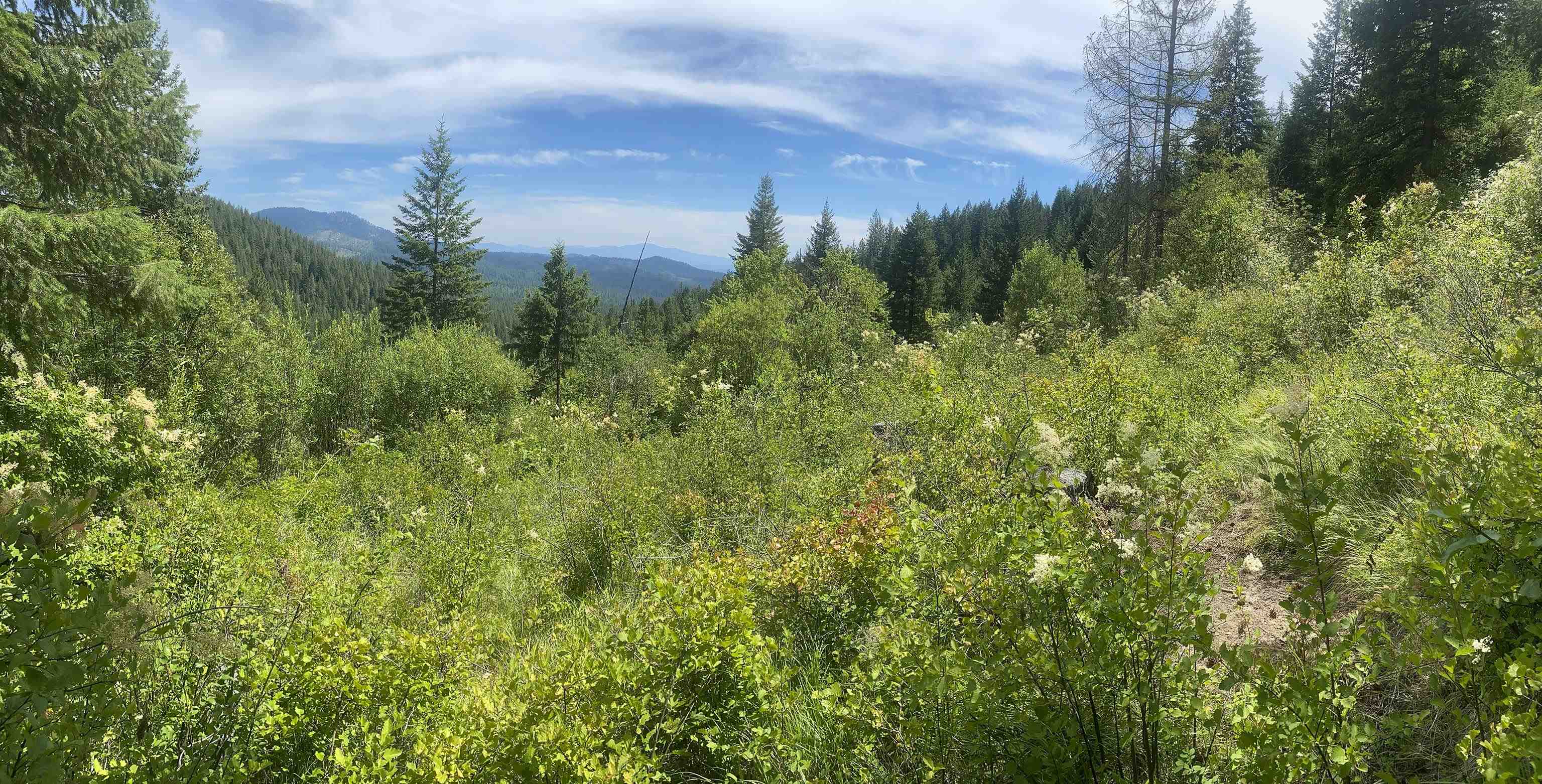 NNA E Deer Lake Rd - Photo 20