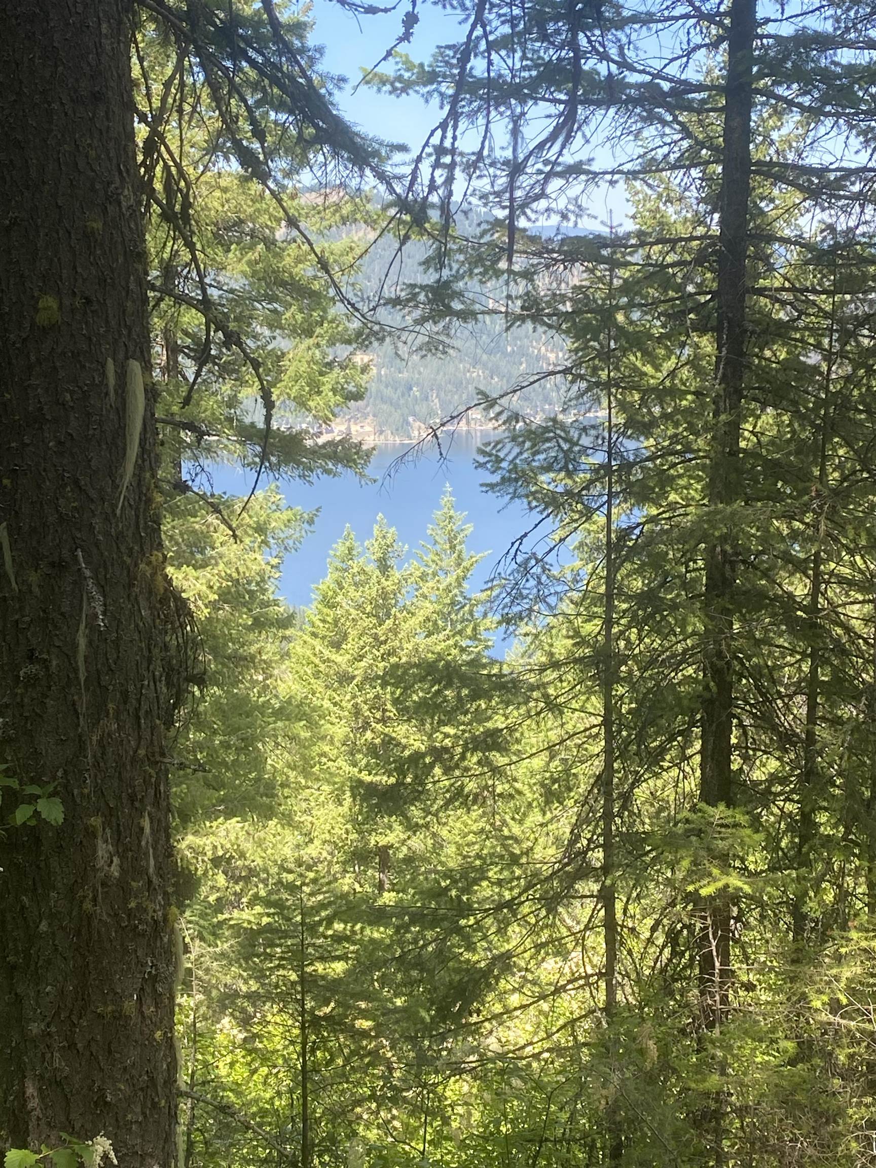 NNA E Deer Lake Rd - Photo 2