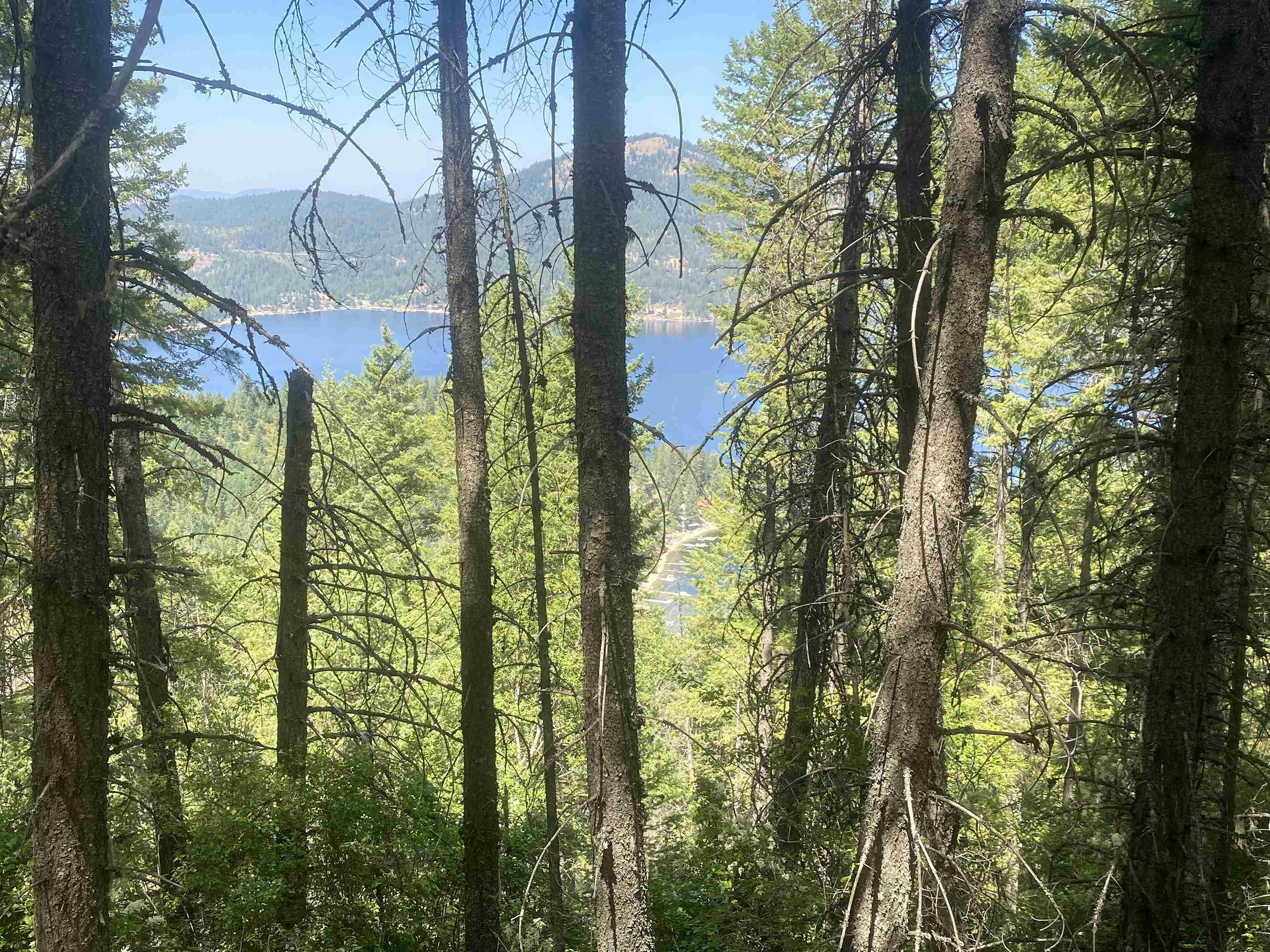 NNA E Deer Lake Rd - Photo 1