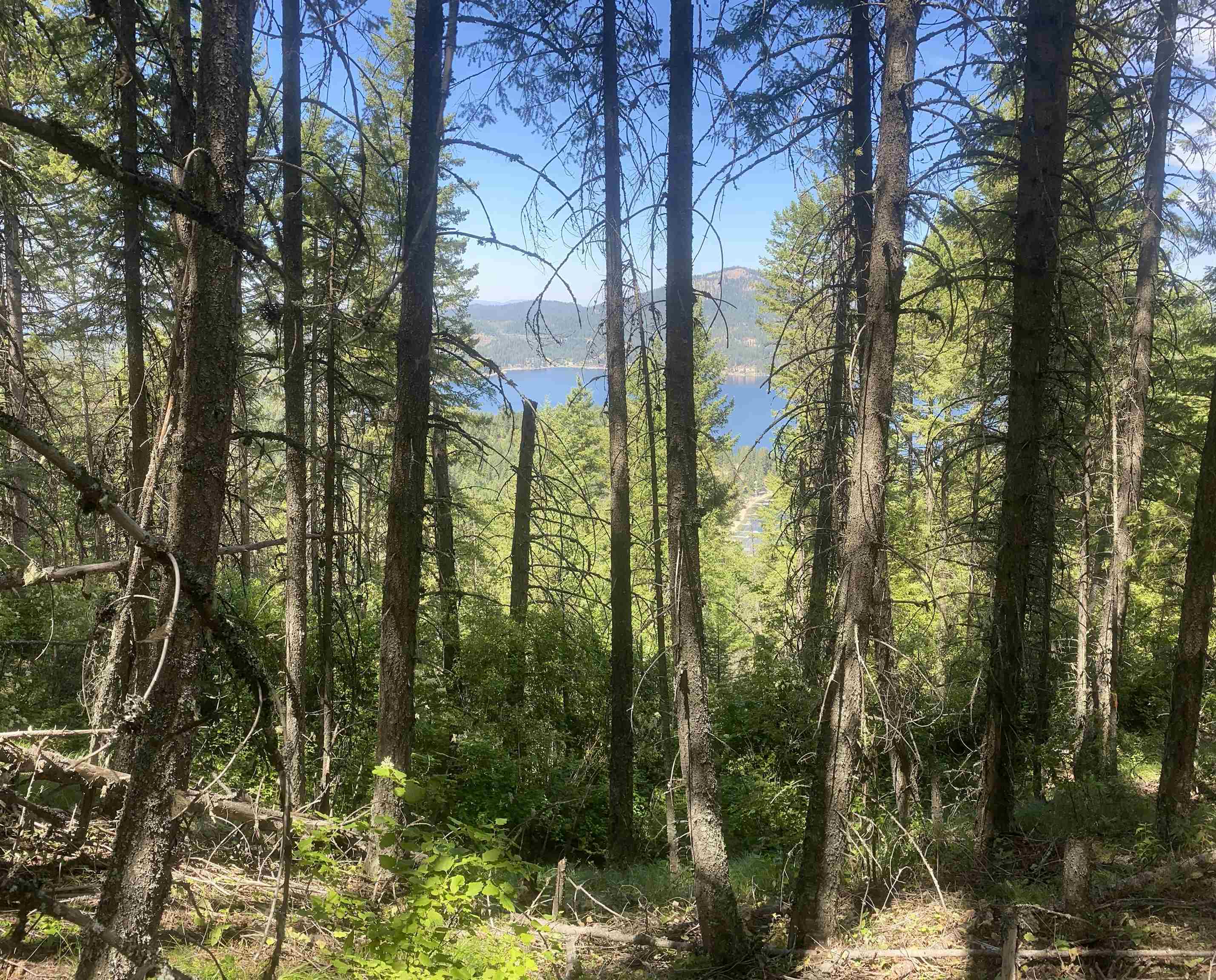 NNA E Deer Lake Rd - Photo 21