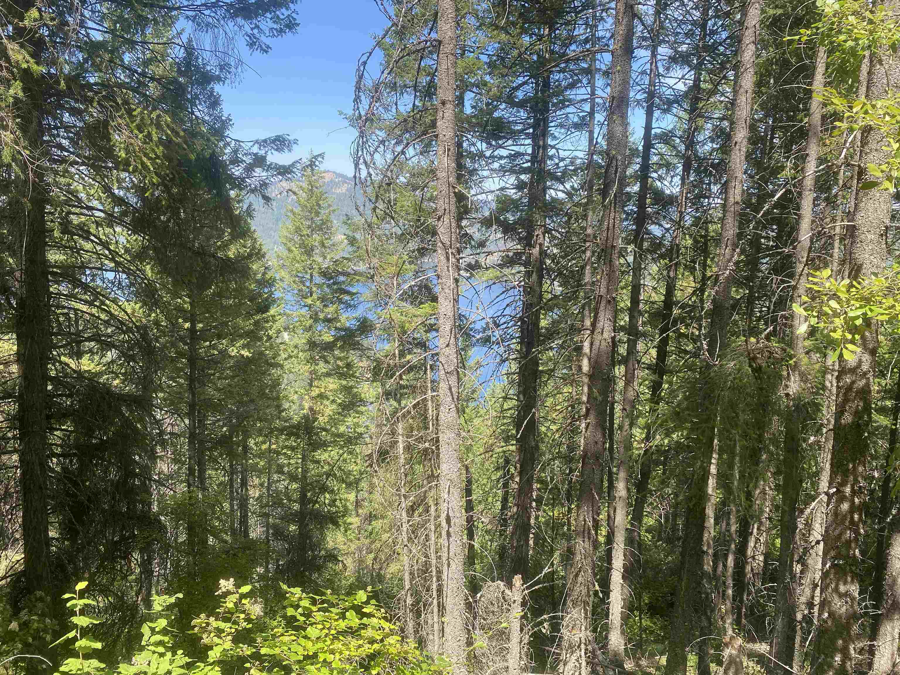 NNA E Deer Lake Rd - Photo 22