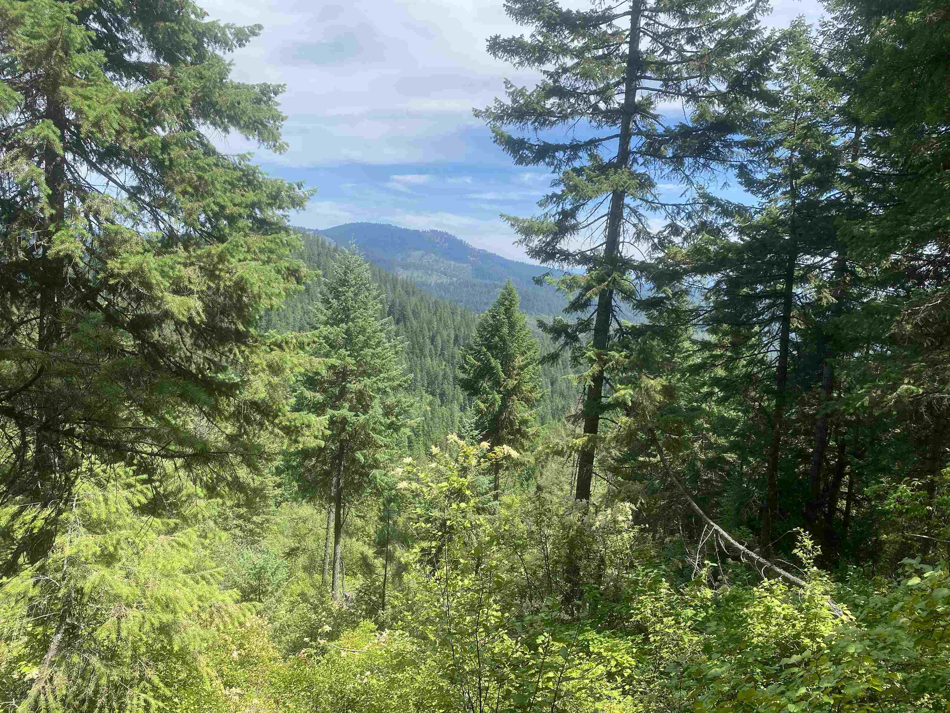 NNA E Deer Lake Rd - Photo 23