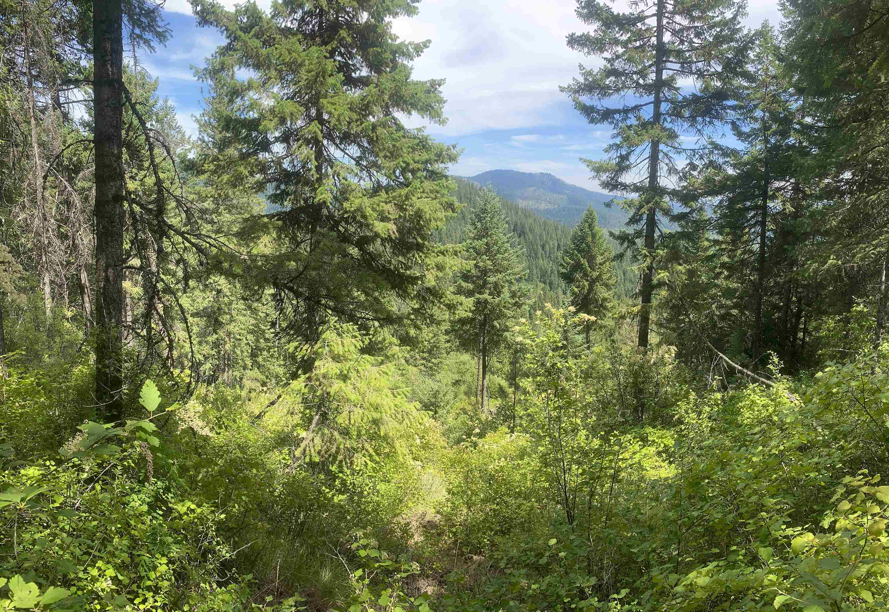 NNA E Deer Lake Rd - Photo 24
