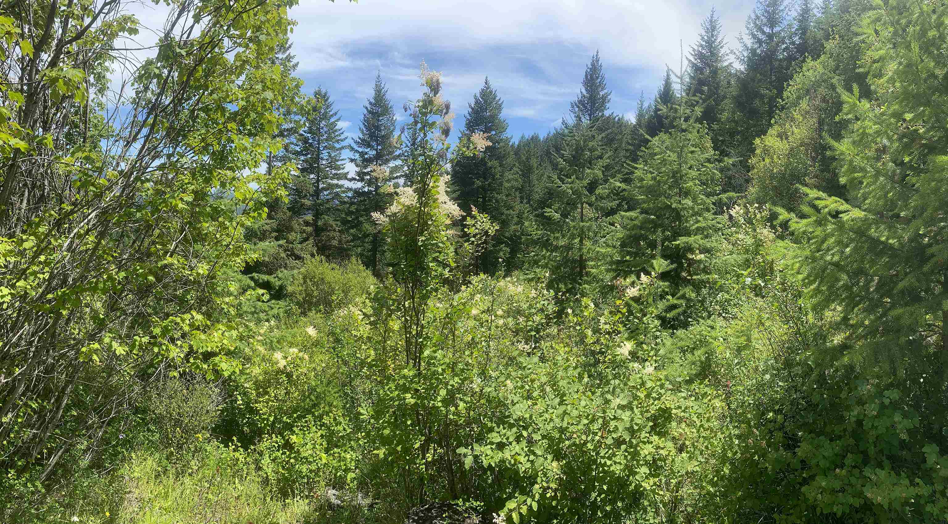 NNA E Deer Lake Rd - Photo 26