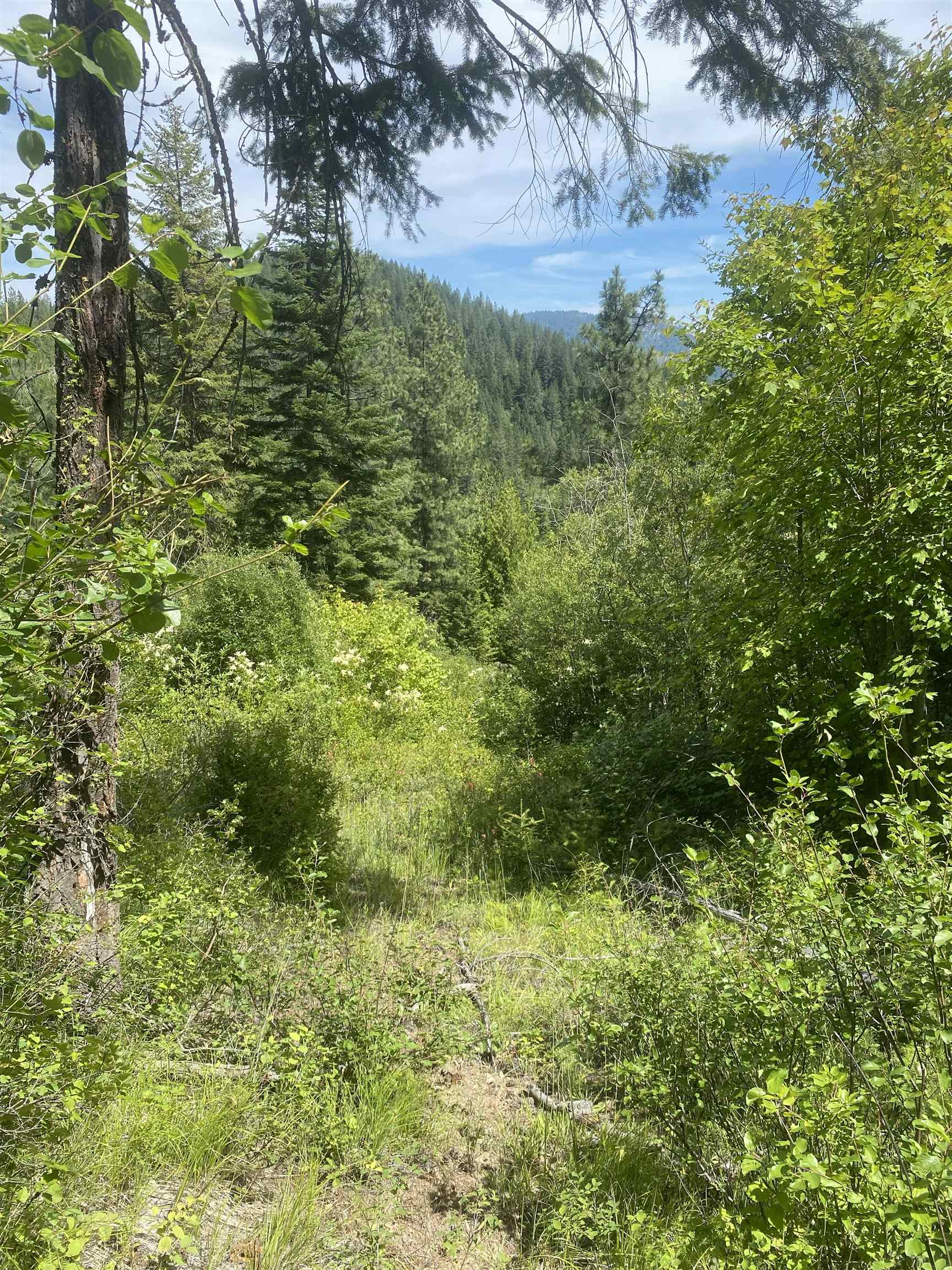 NNA E Deer Lake Rd - Photo 27