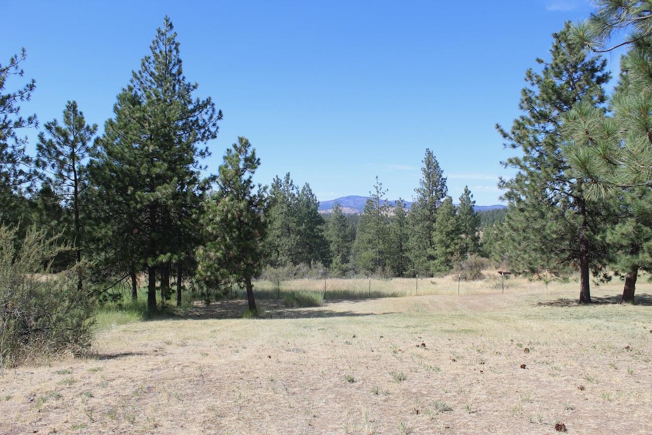 27877 Wild Turkey E Ln - Photo 24
