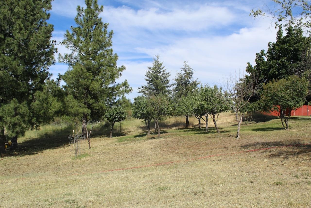 27877 Wild Turkey E Ln - Photo 27