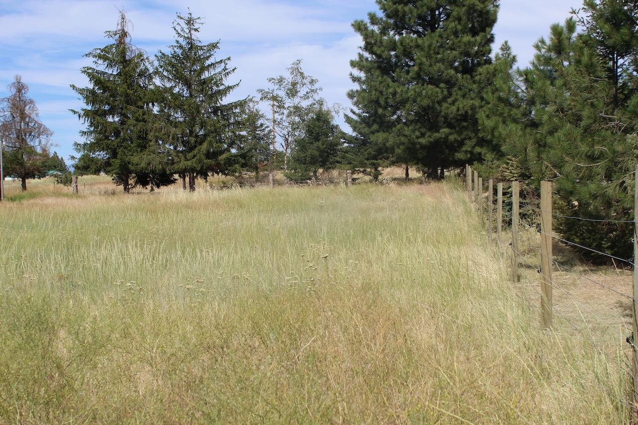 27877 Wild Turkey E Ln - Photo 29