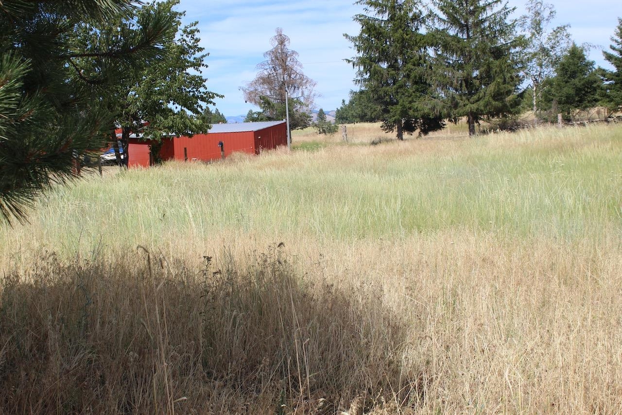27877 Wild Turkey E Ln - Photo 30
