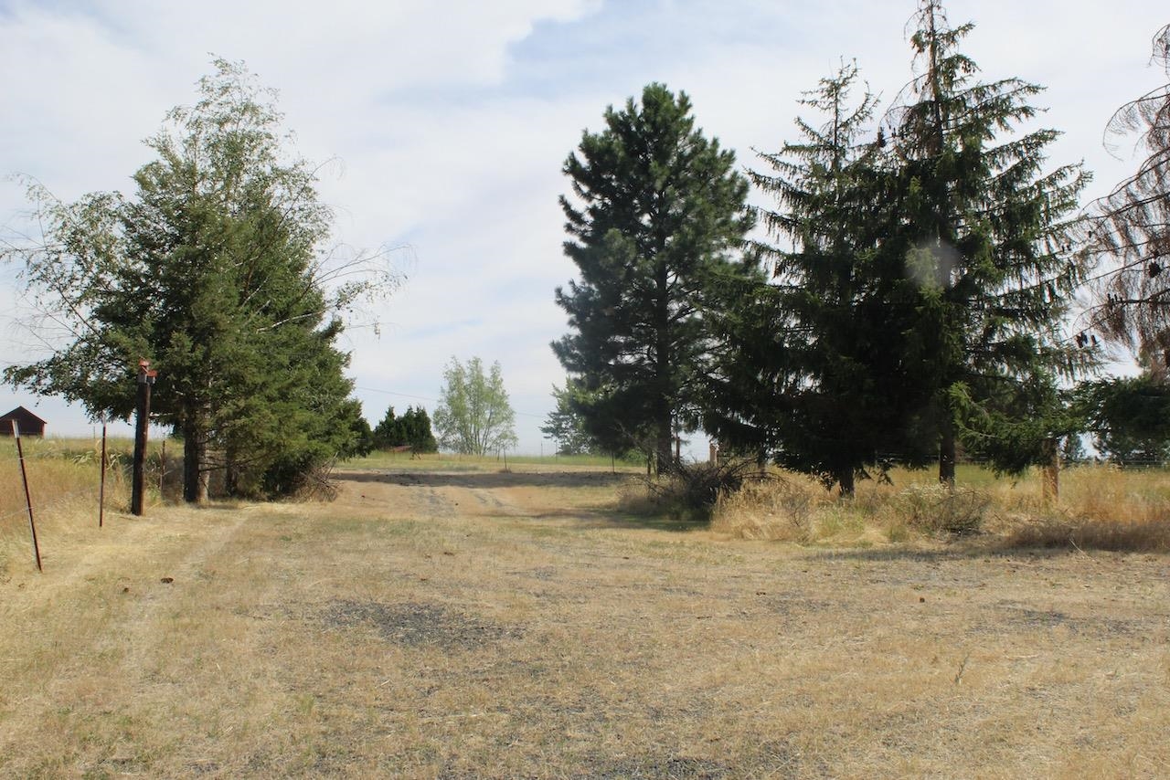 27877 Wild Turkey E Ln - Photo 33