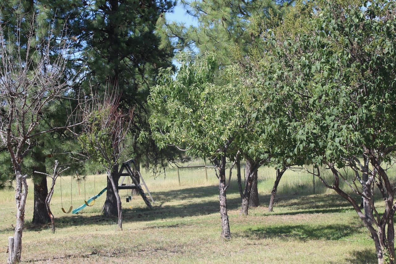 27877 Wild Turkey E Ln - Photo 18