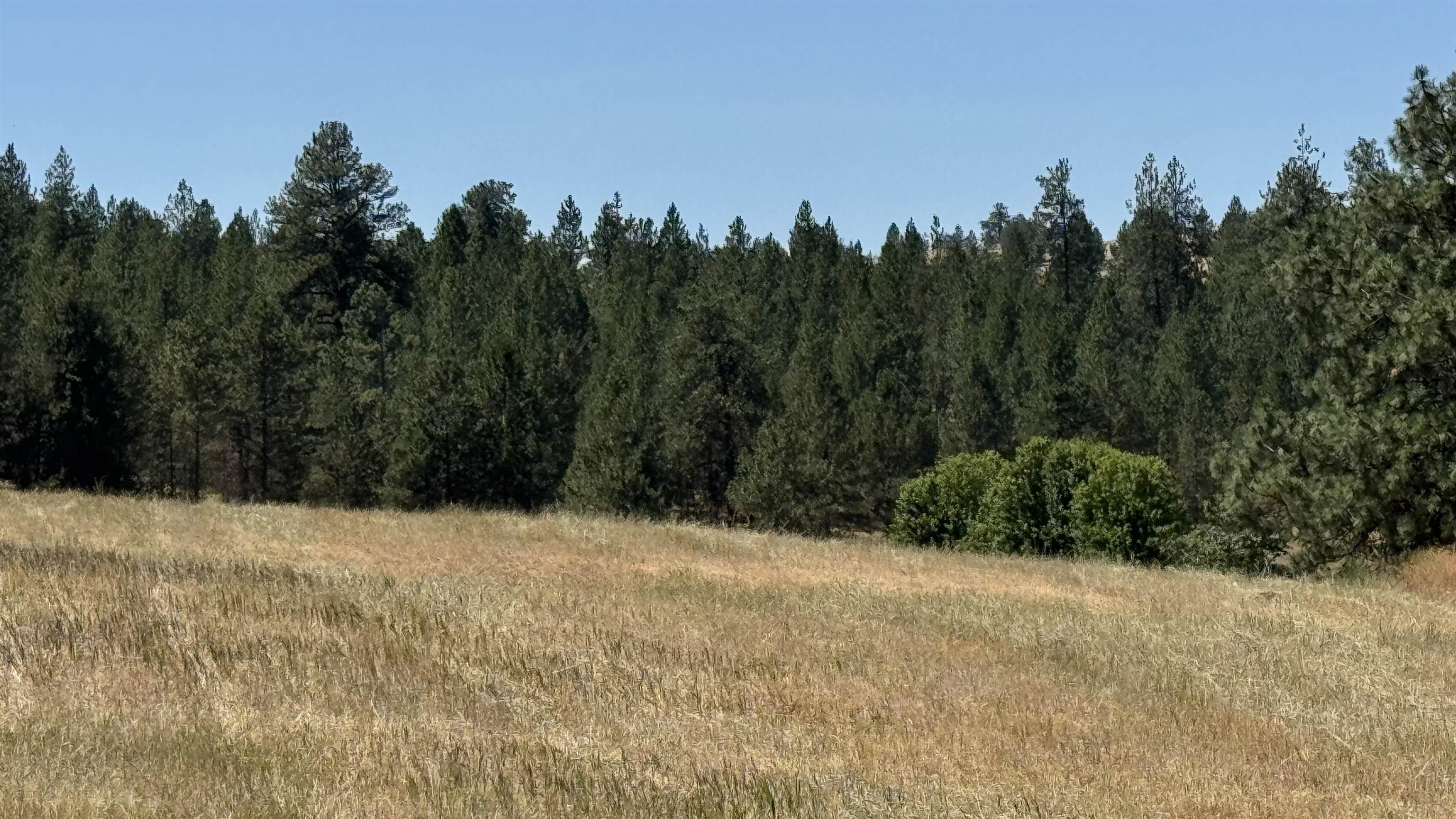 1614 S Molter Rd - Photo 37