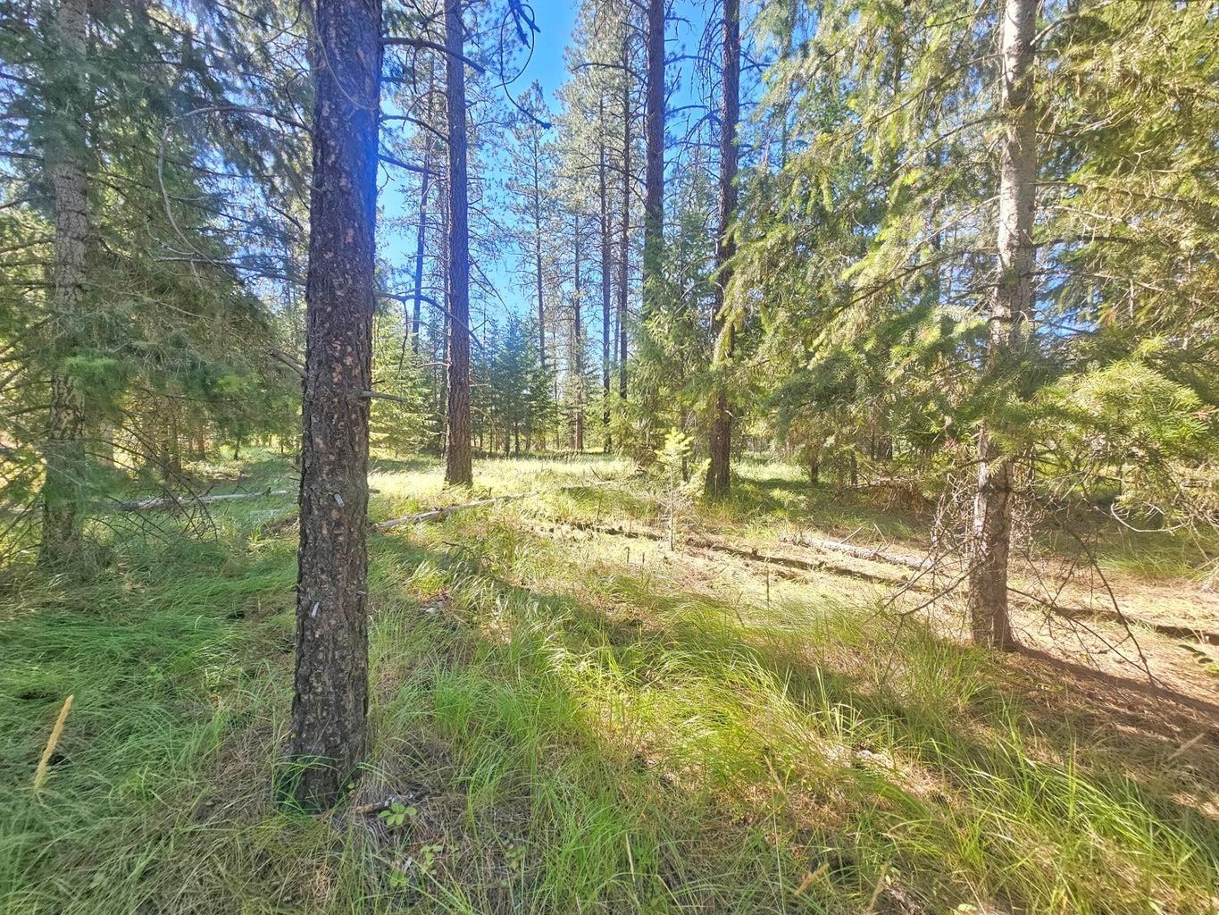 270 Eagle Dr - Photo 1
