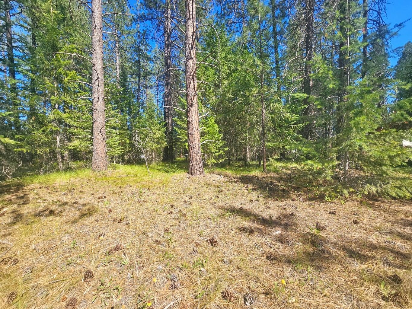 270 Eagle Dr - Photo 5
