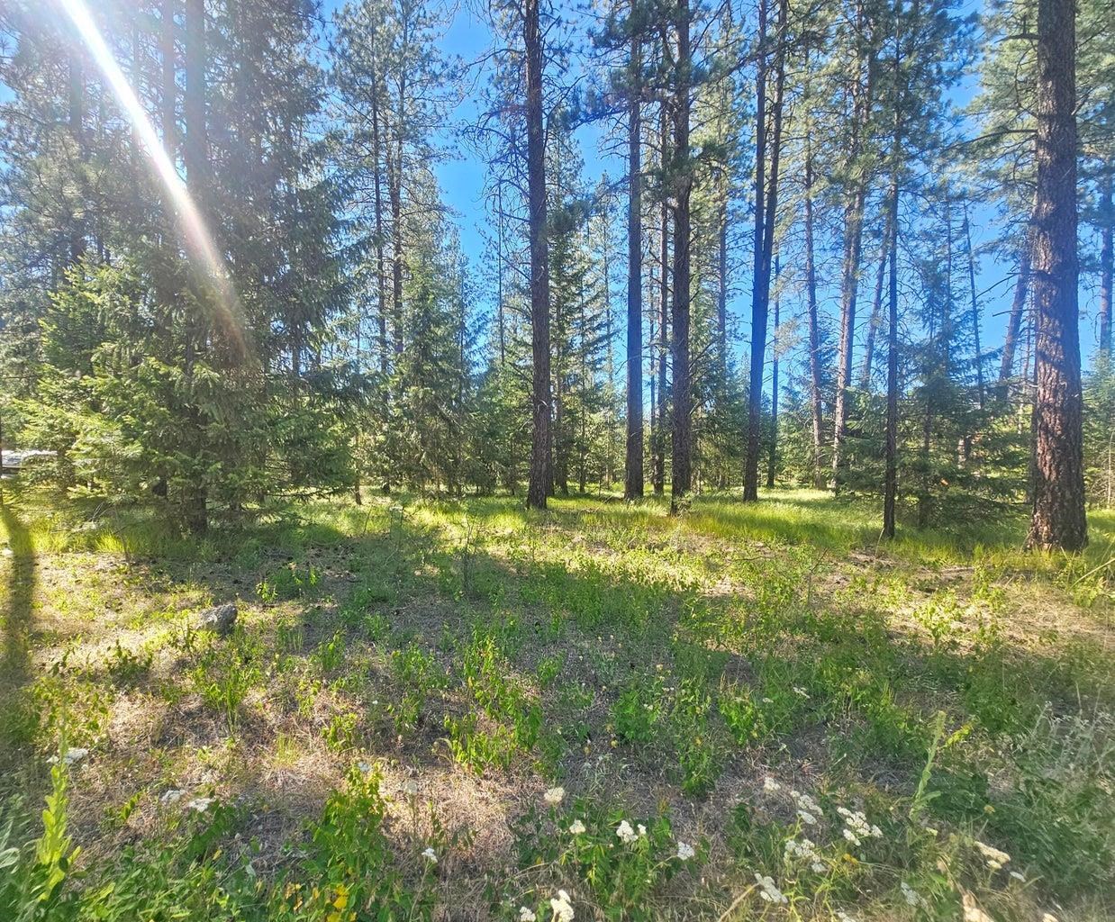 270 Eagle Dr - Photo 6