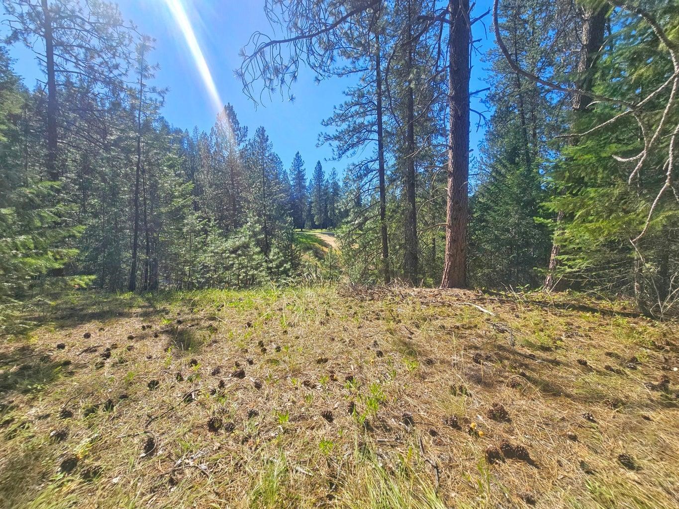 270 Eagle Dr - Photo 7