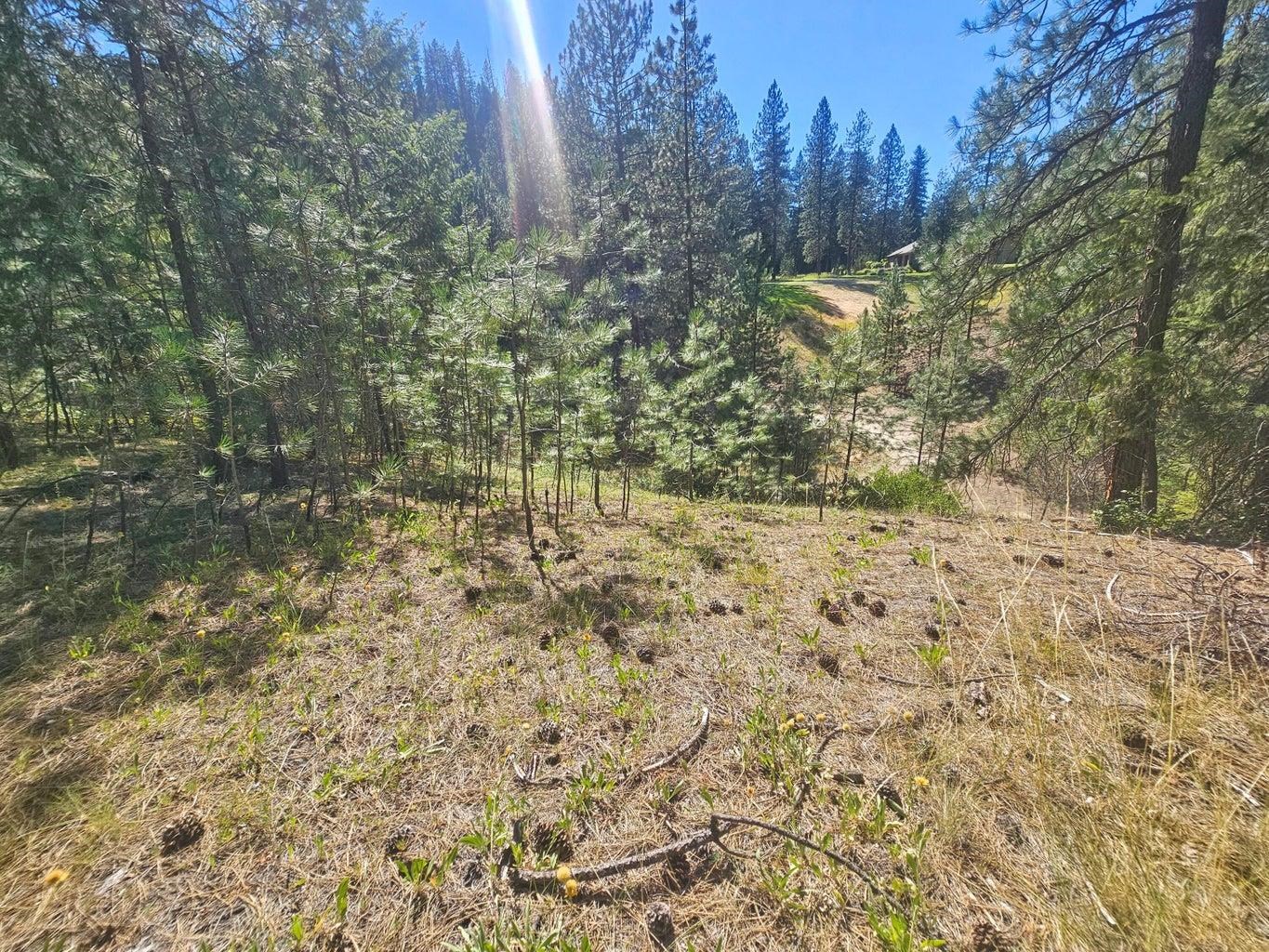 270 Eagle Dr - Photo 8
