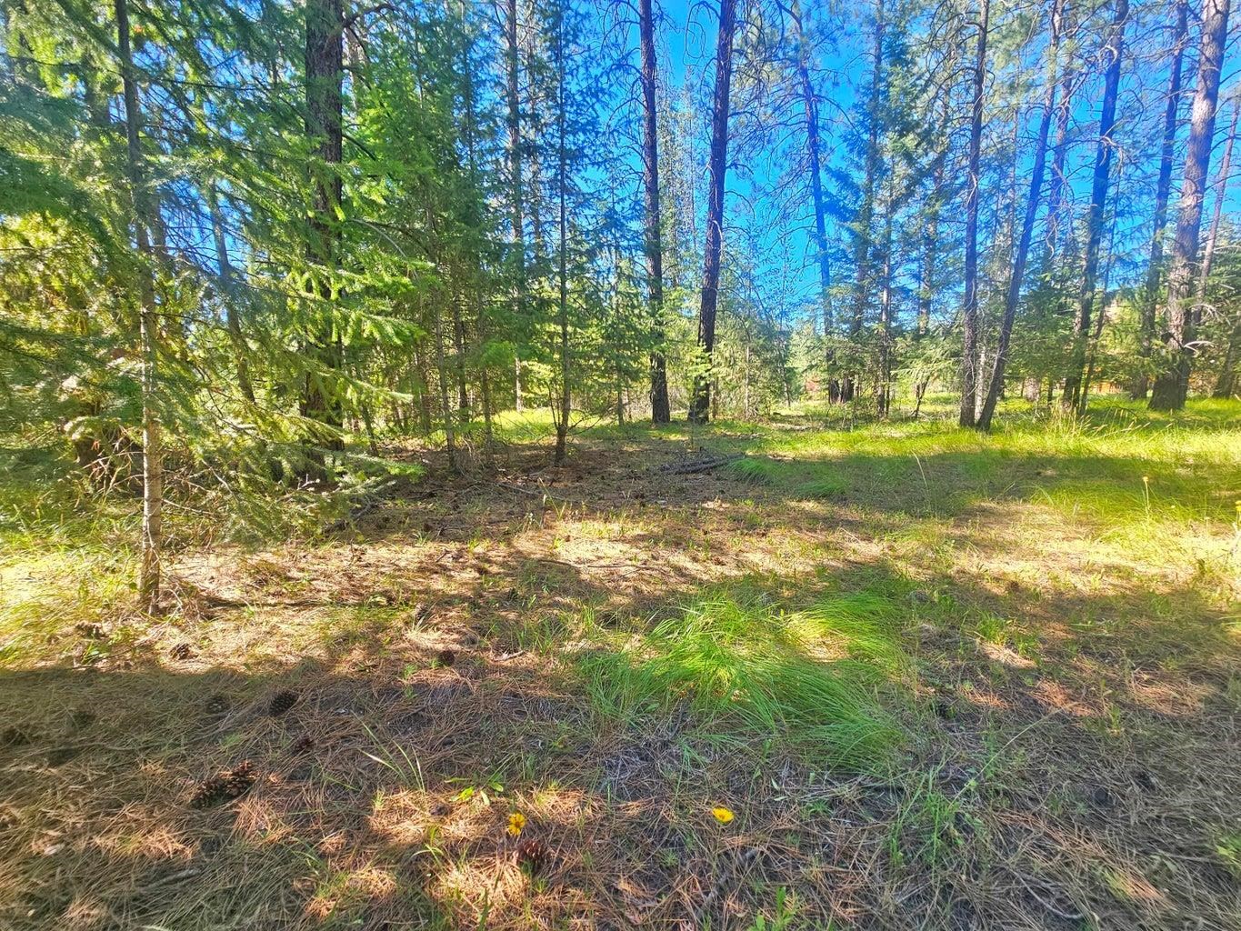 270 Eagle Dr - Photo 9