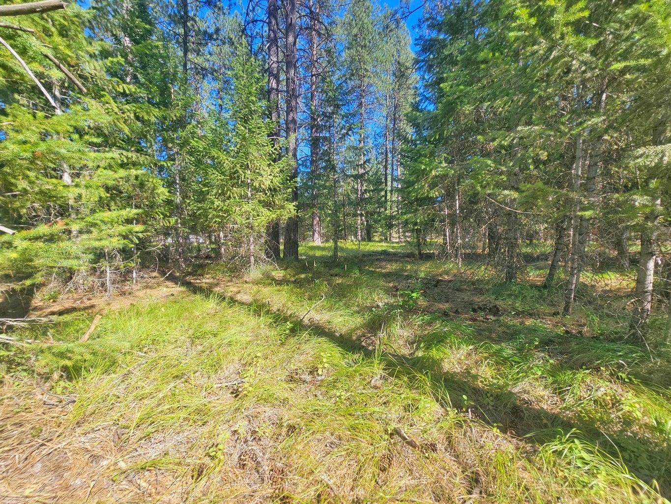 270 Eagle Dr - Photo 11