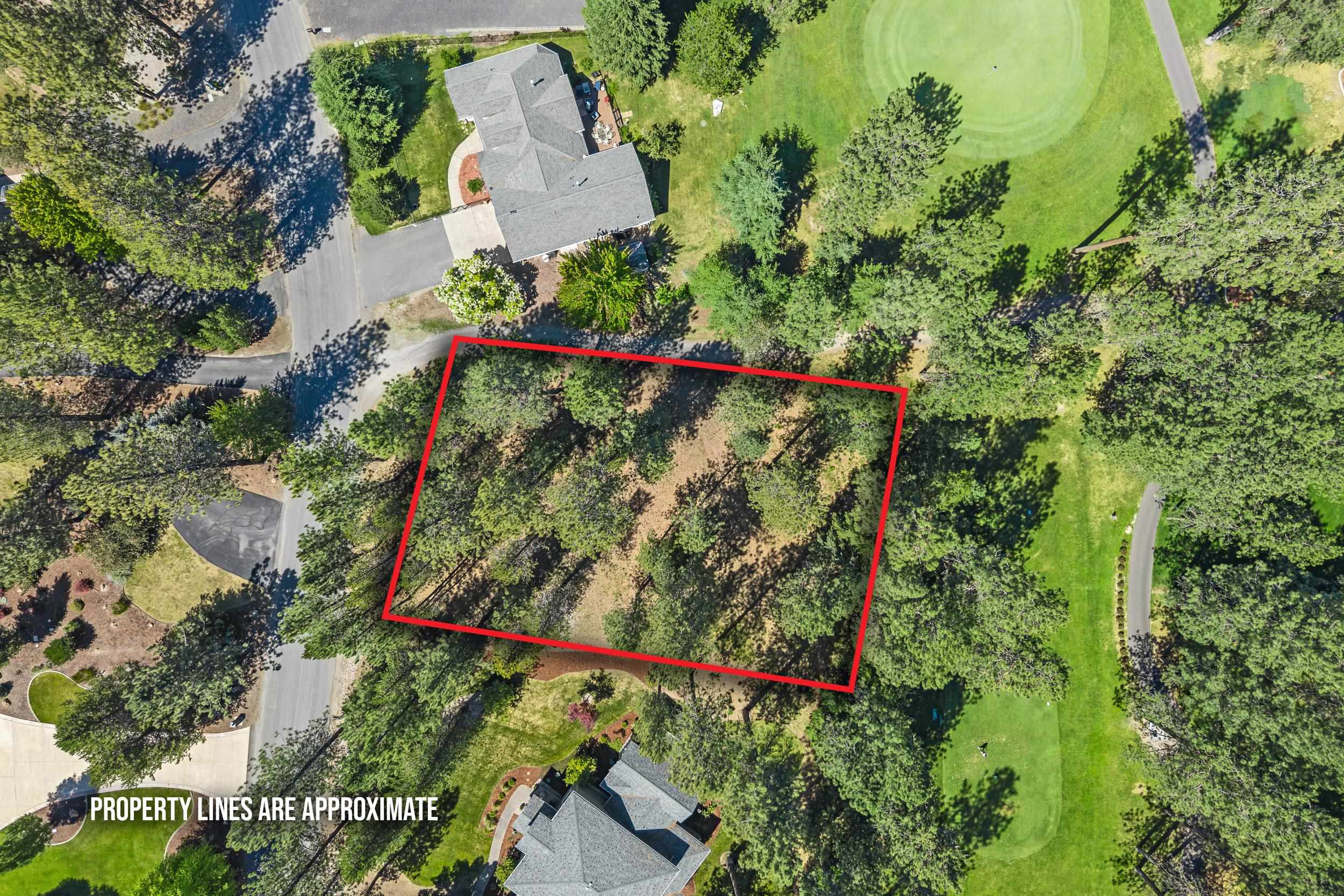 407 Hogans Way - Photo 1