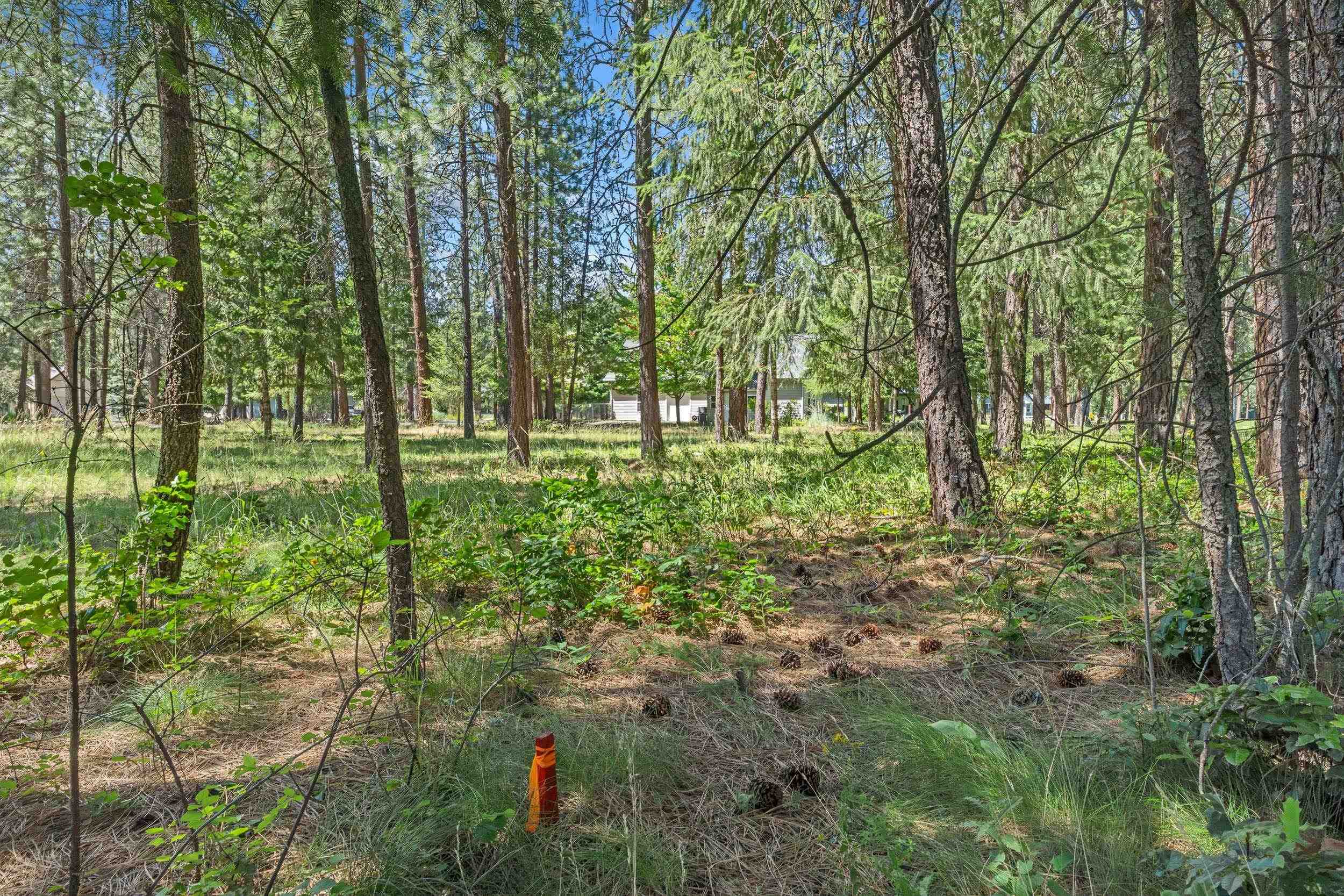 407 Hogans Way - Photo 3