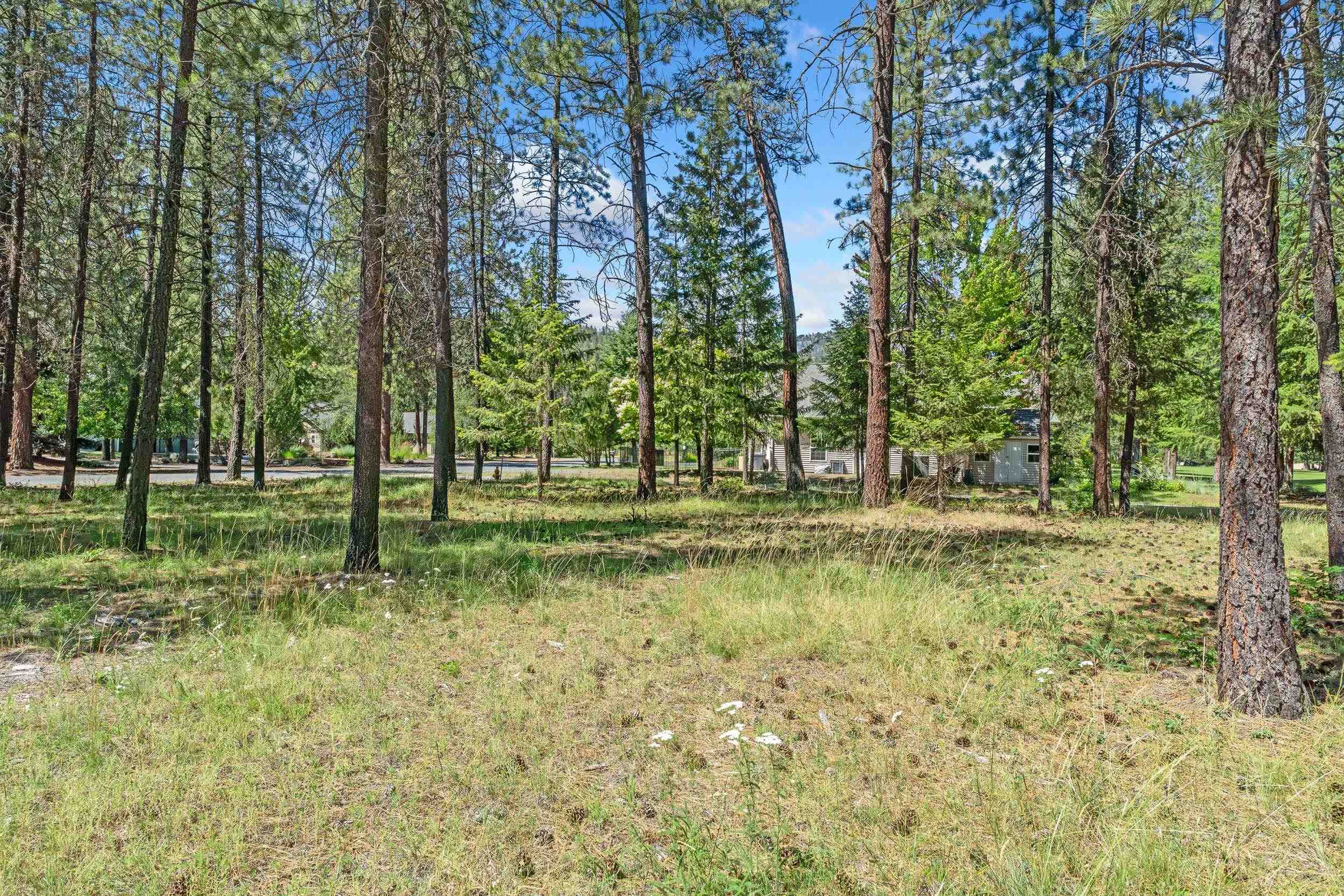 407 Hogans Way - Photo 2