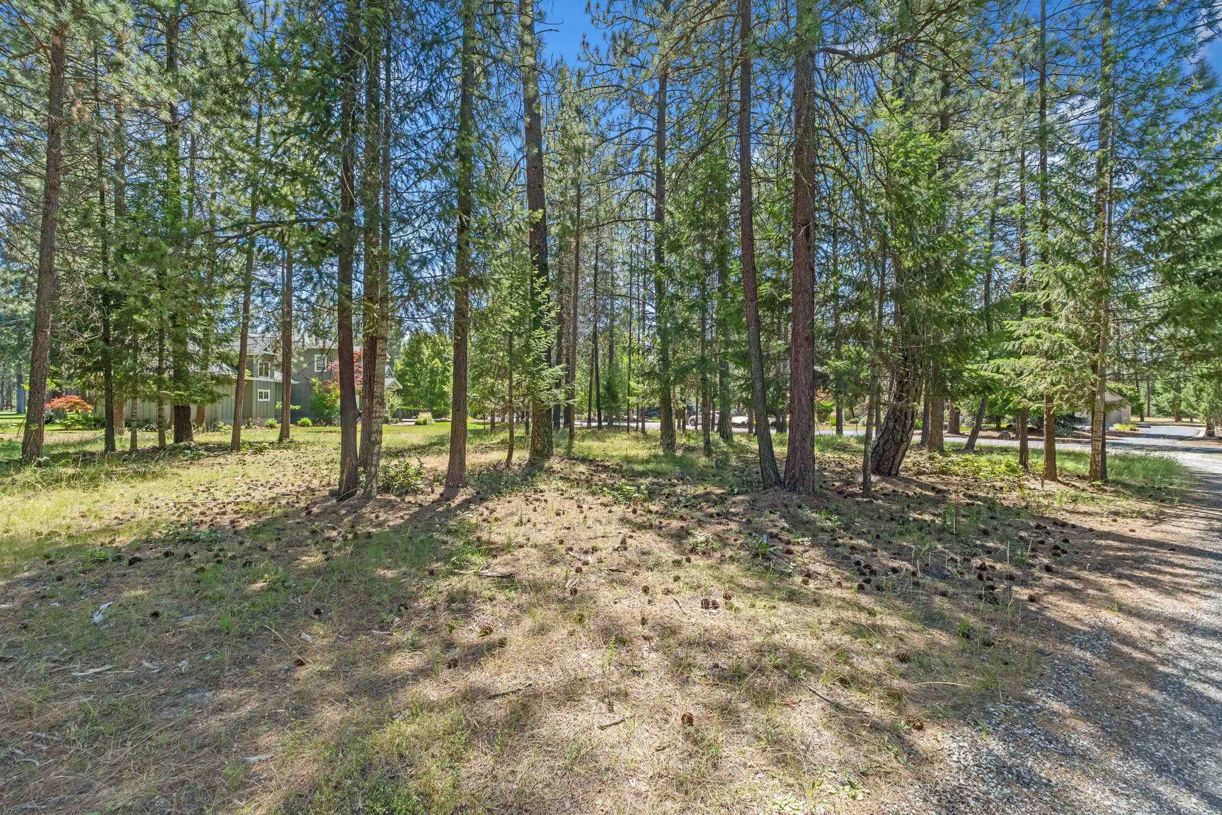 407 Hogans Way - Photo 5
